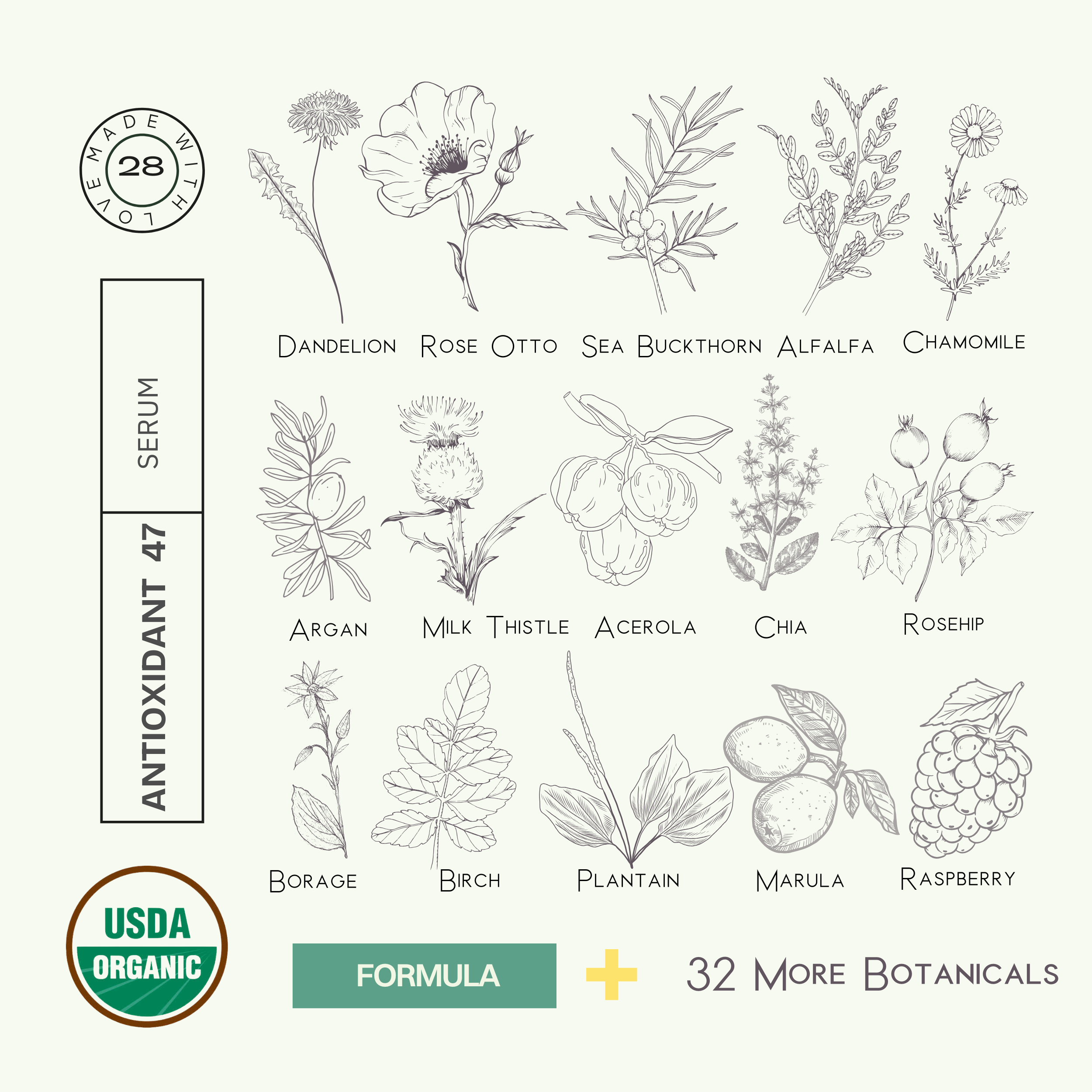 SINGLE PRODUCT CARDS WEB-13.png