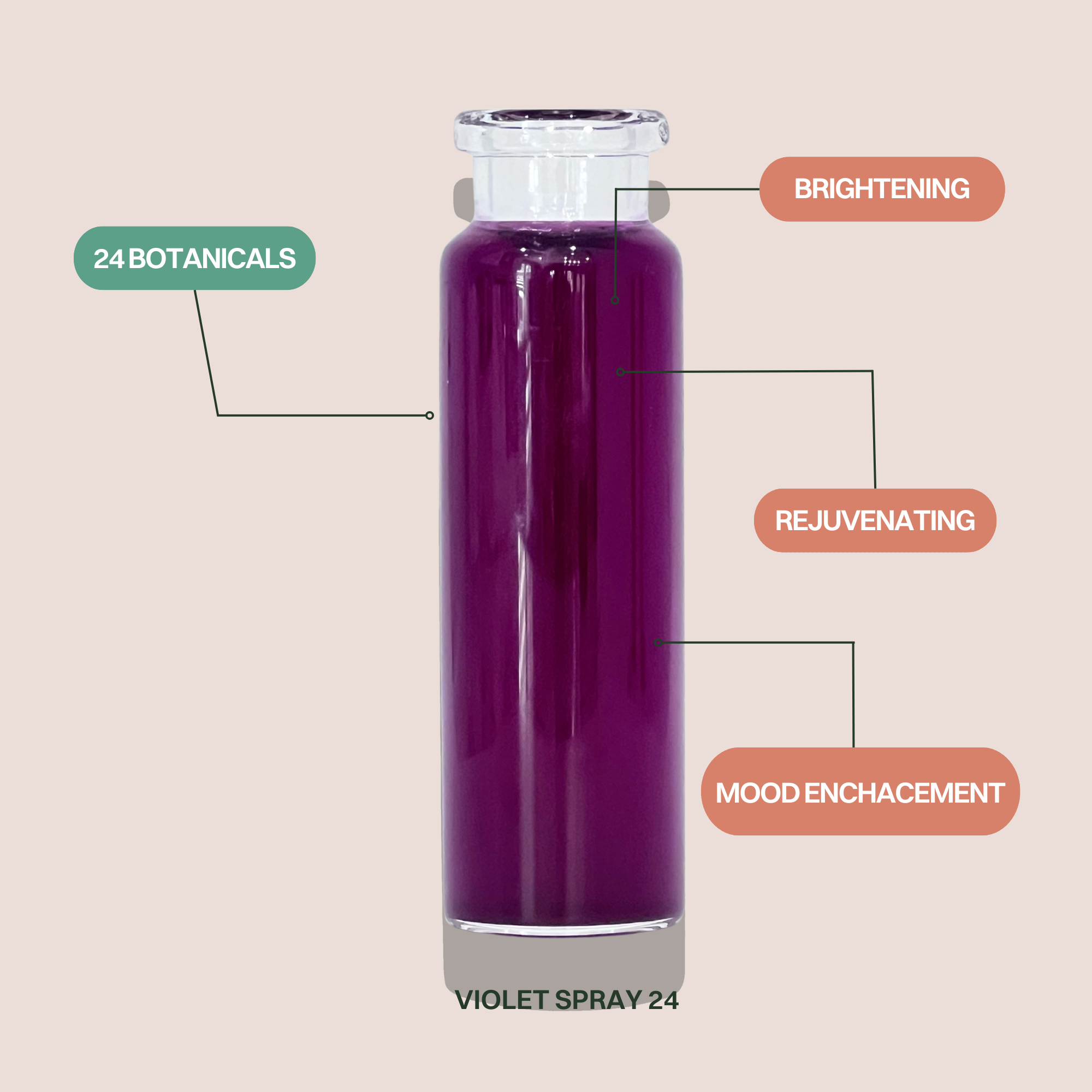 GLASS single + Bundle-6.png