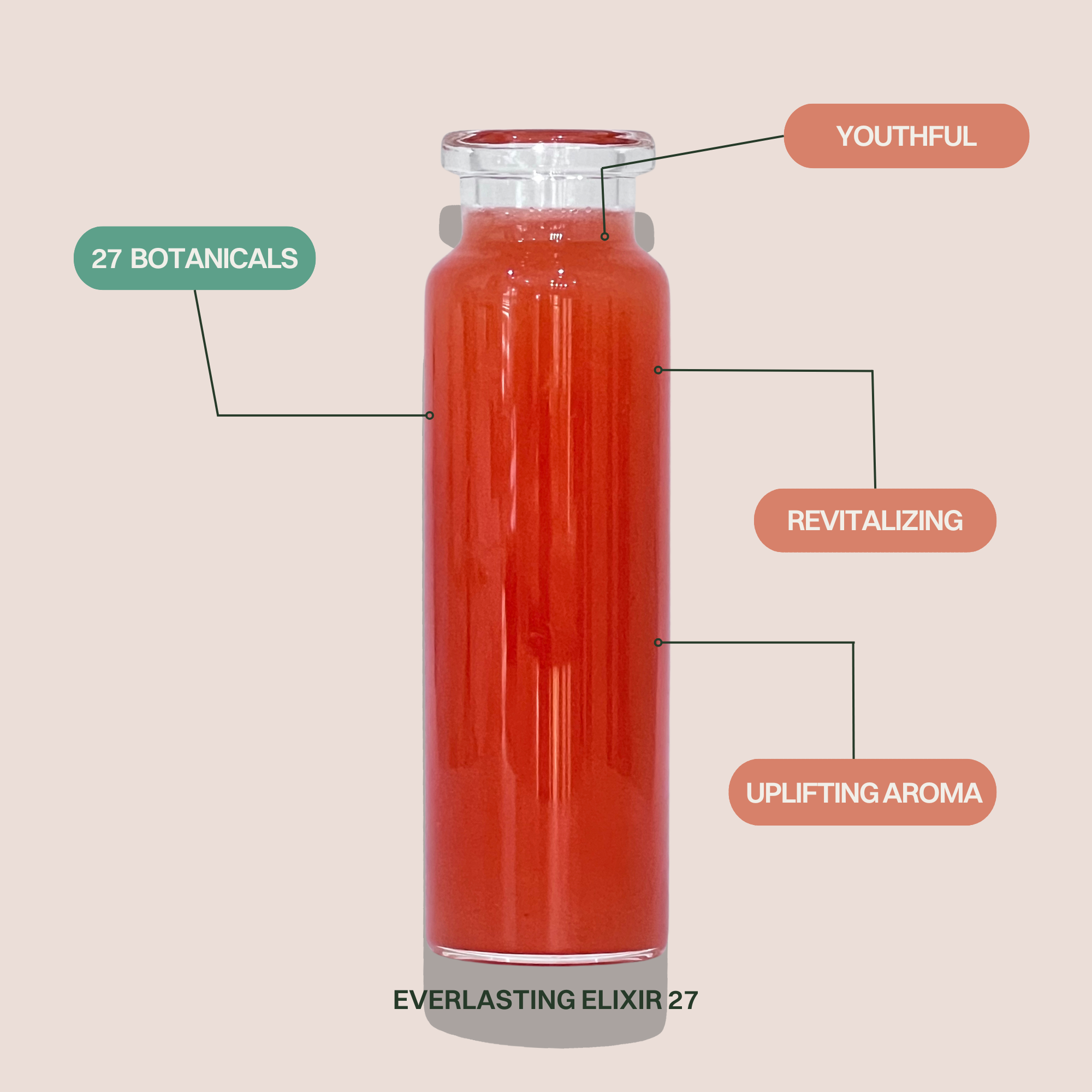 GLASS single + Bundle-6.png