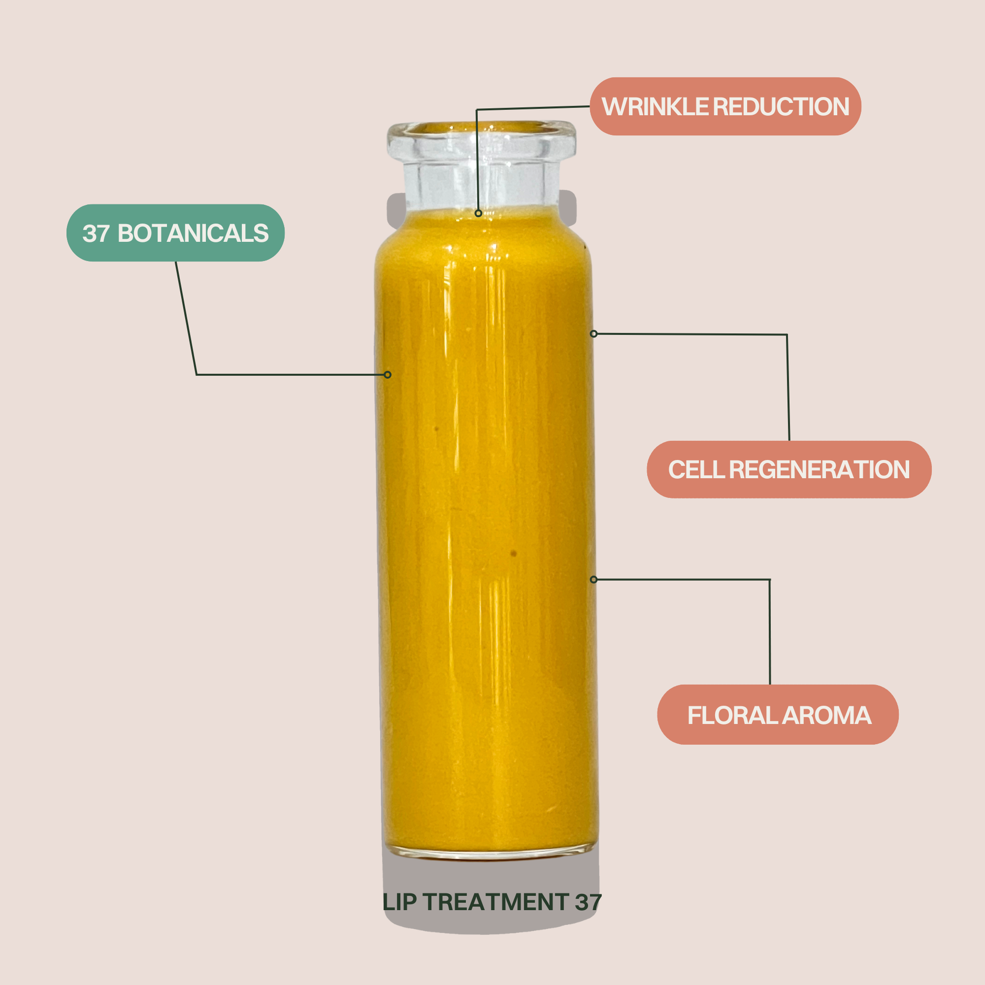 GLASS single + Bundle-6.png