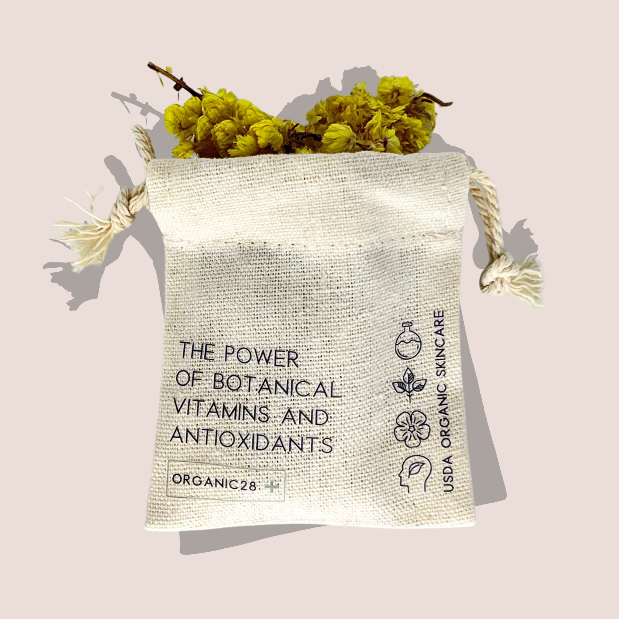 ALL PRODUCT PHOTO-3.png