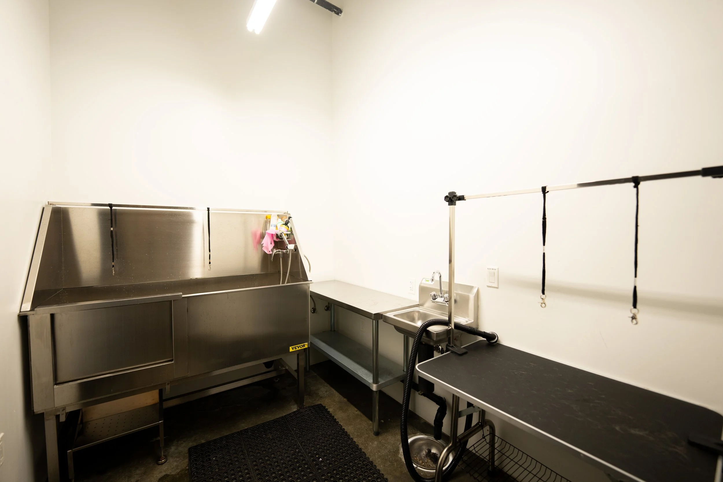 230929-201901_DogWashroom-StorehouseLofts.jpg