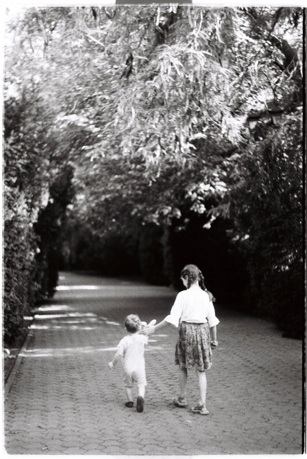 WhatsApp Image 2024-06-20 at 18.57.17.jpeg