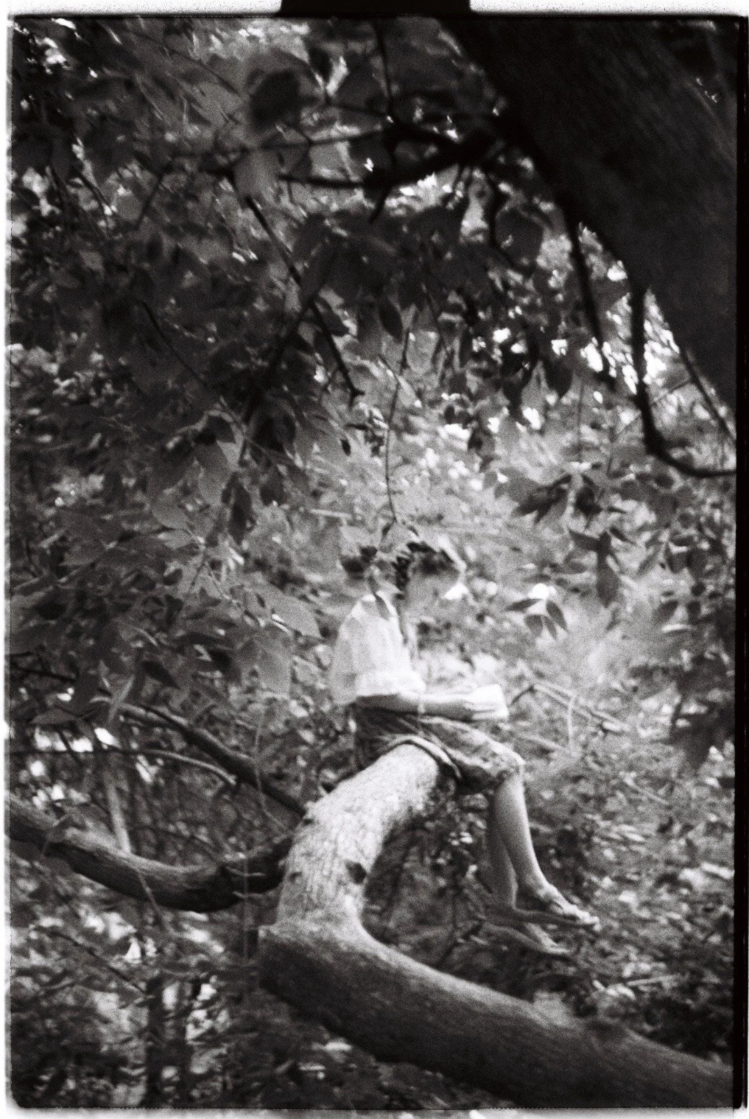 WhatsApp Image 2024-06-20 at 18.59.45.jpeg