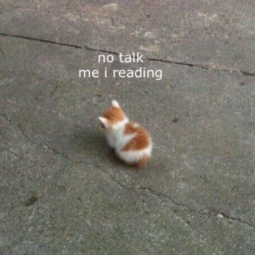 we get you. silent reading club tonight (and every Sunday) from 7-9pm at the couth 🫡