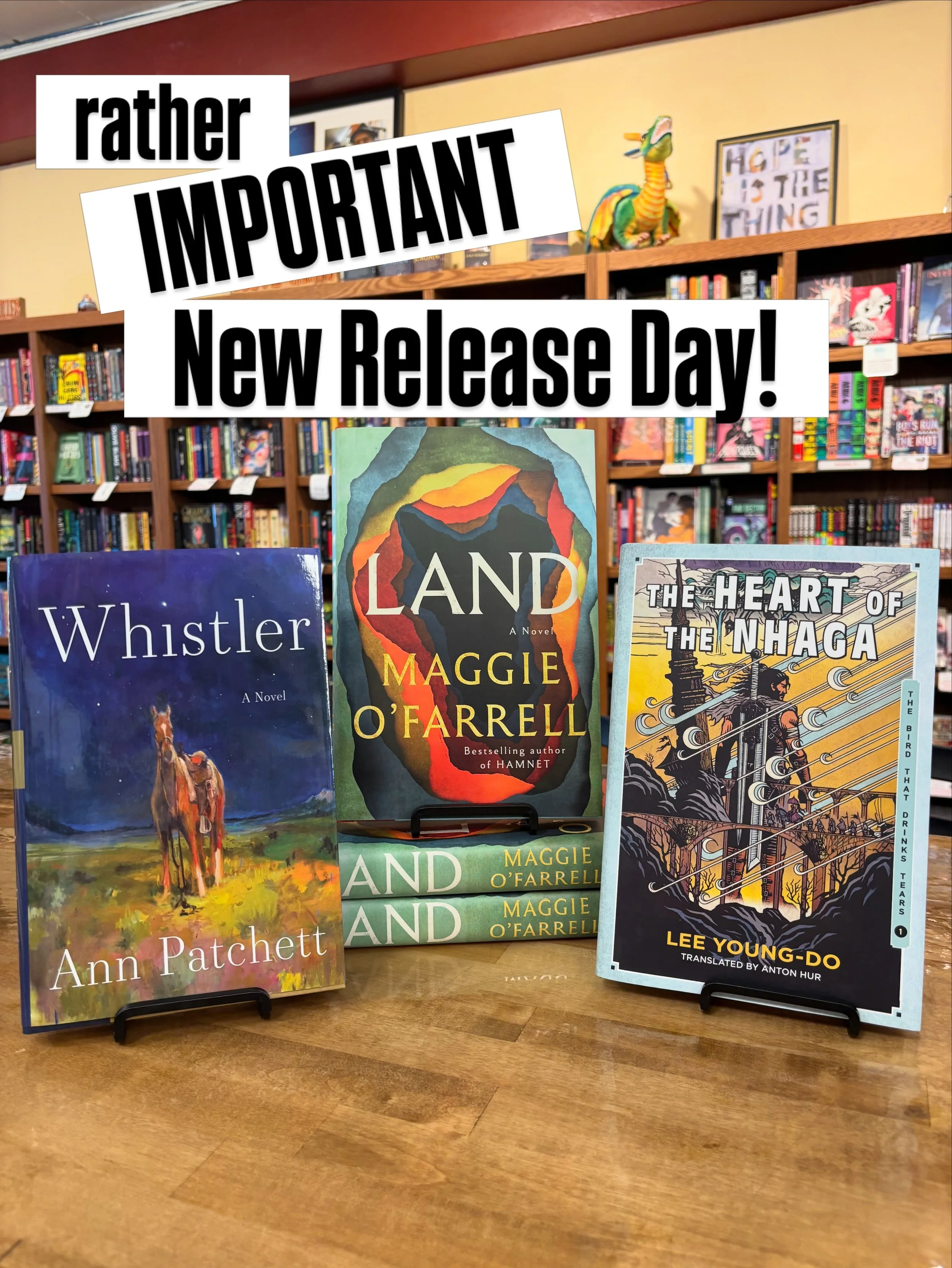 We got those BIG DEAL new releases!

#seattle #bookstore #newbooks #greenwood #annpatchett