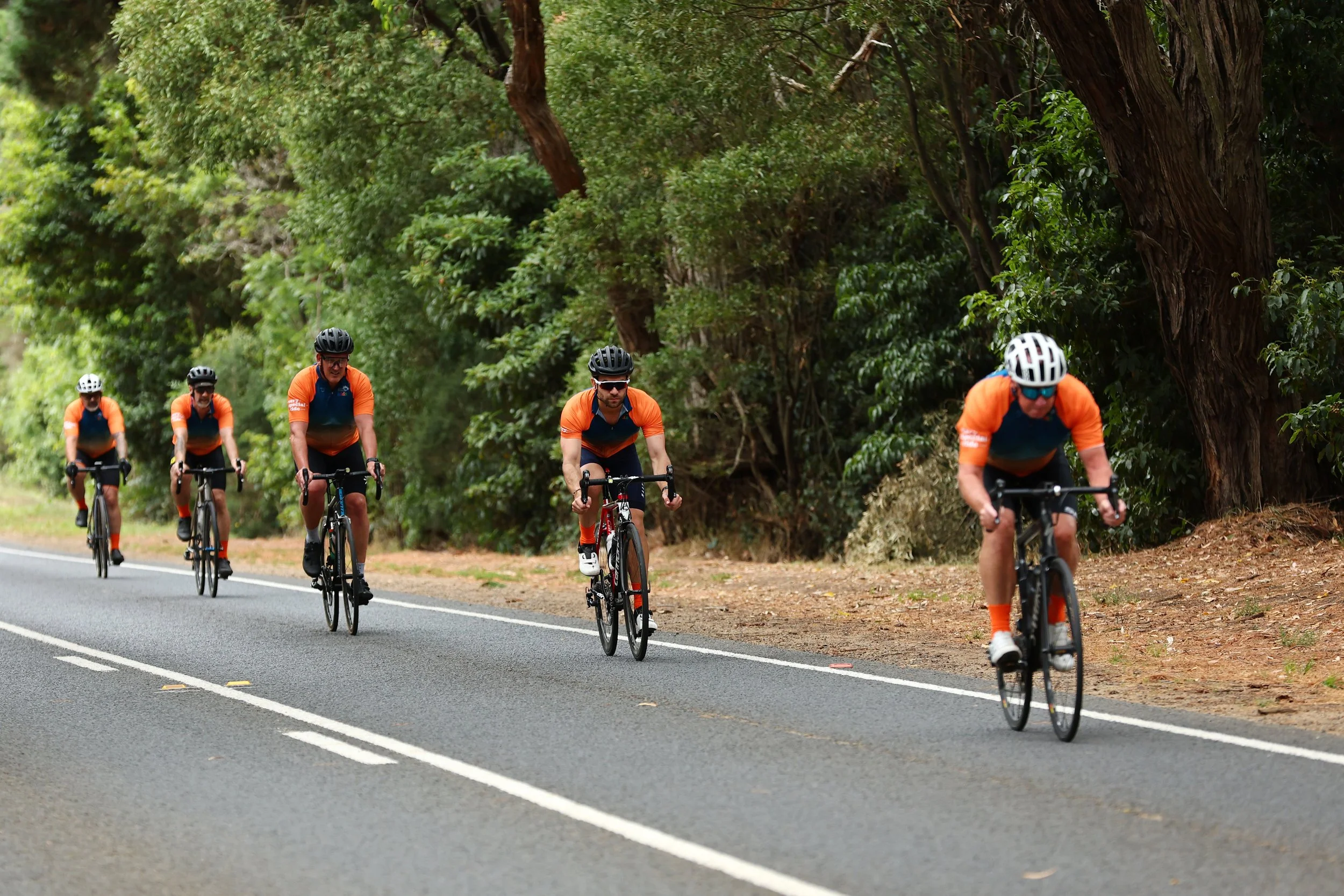6. Dromana - Red Hill - Sorrento 024A1232208.jpg