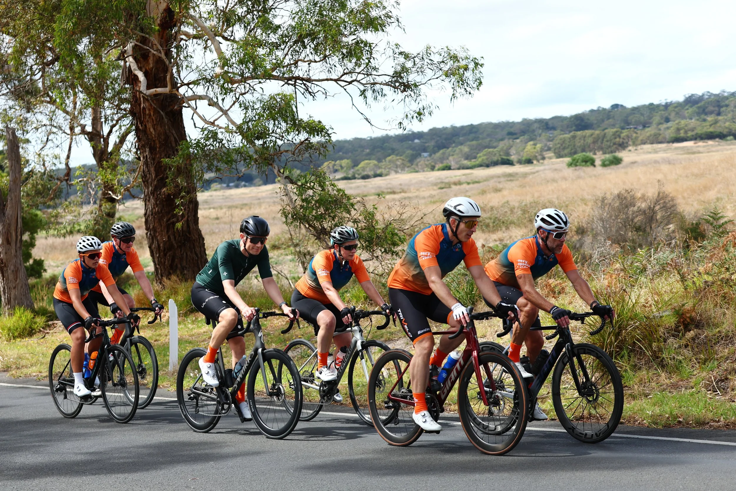6. Dromana - Red Hill - Sorrento 024A1357217.jpg