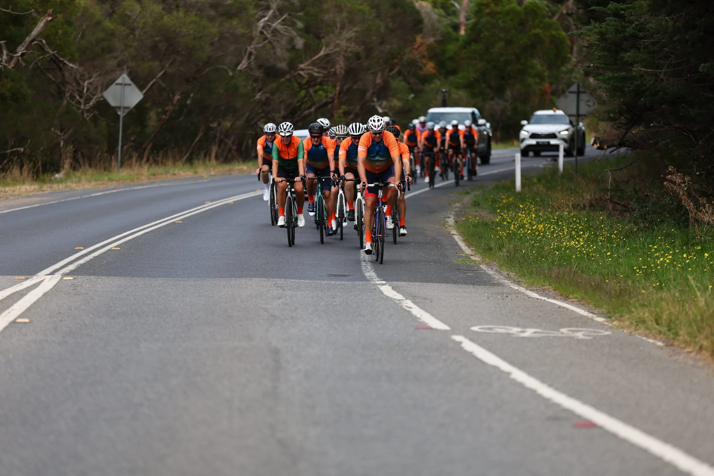 6. Dromana - Red Hill - Sorrento 024181.jpg