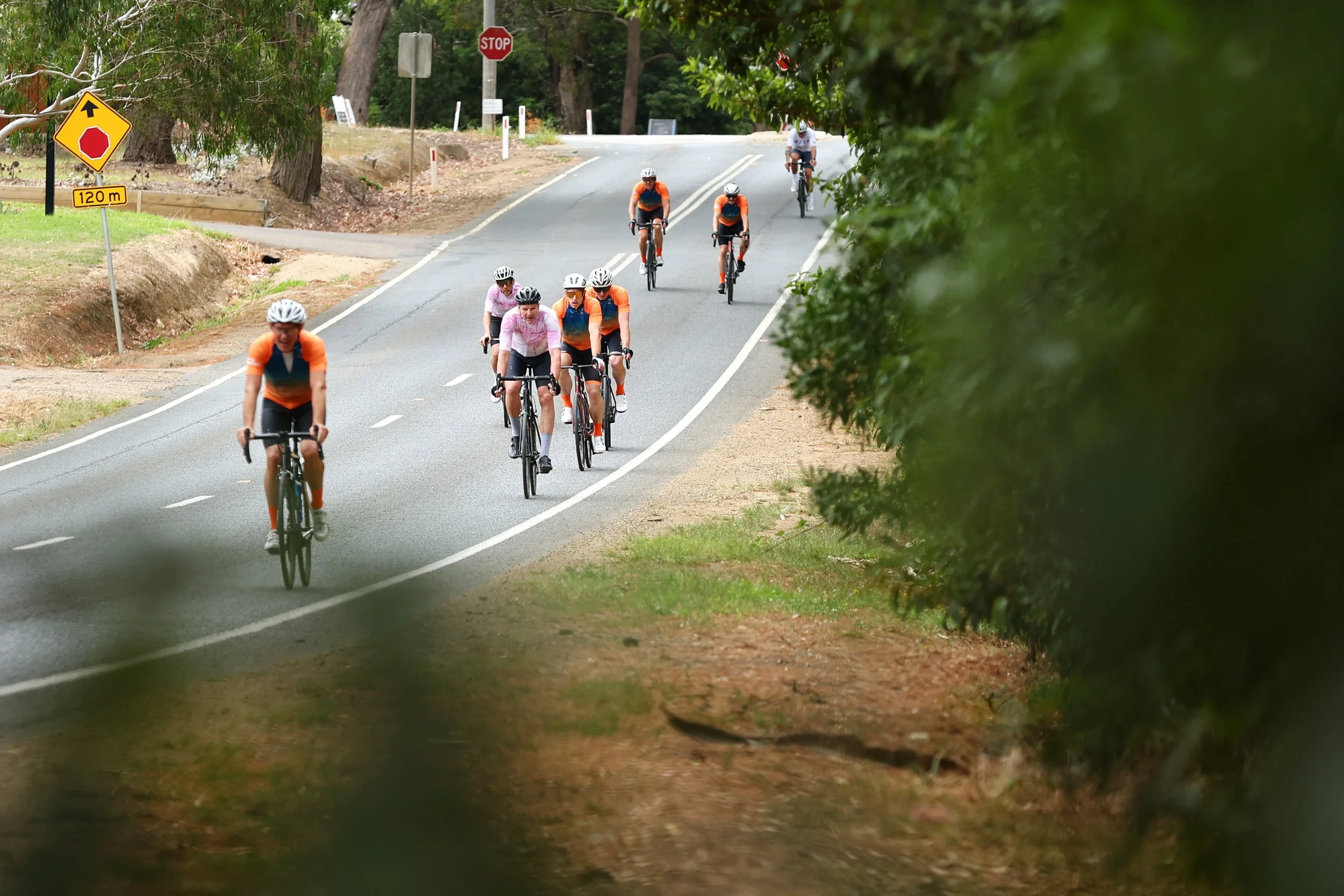 6. Dromana - Red Hill - Sorrento 024A1113199.jpg