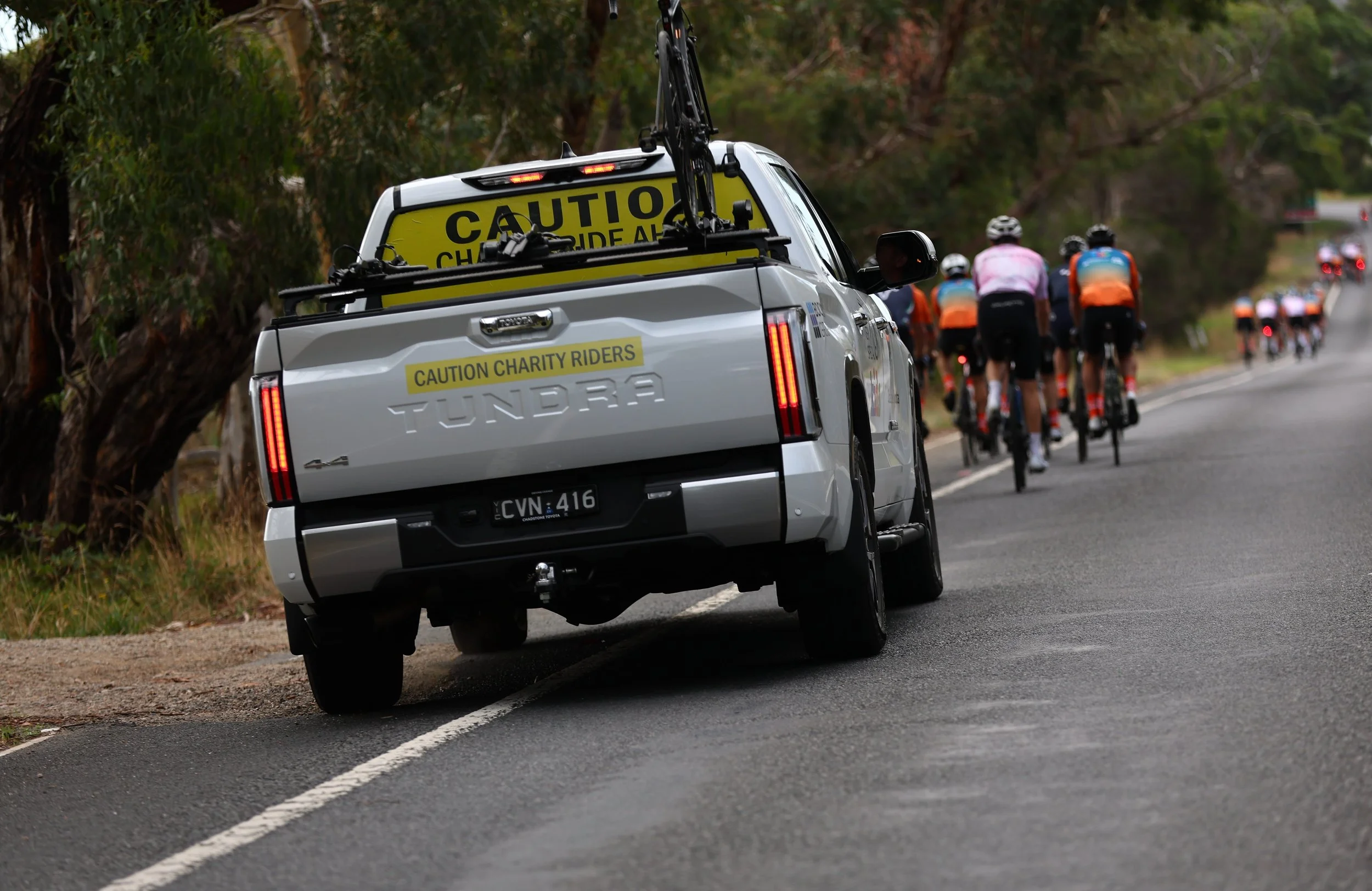 6. Dromana - Red Hill - Sorrento 024180.jpg