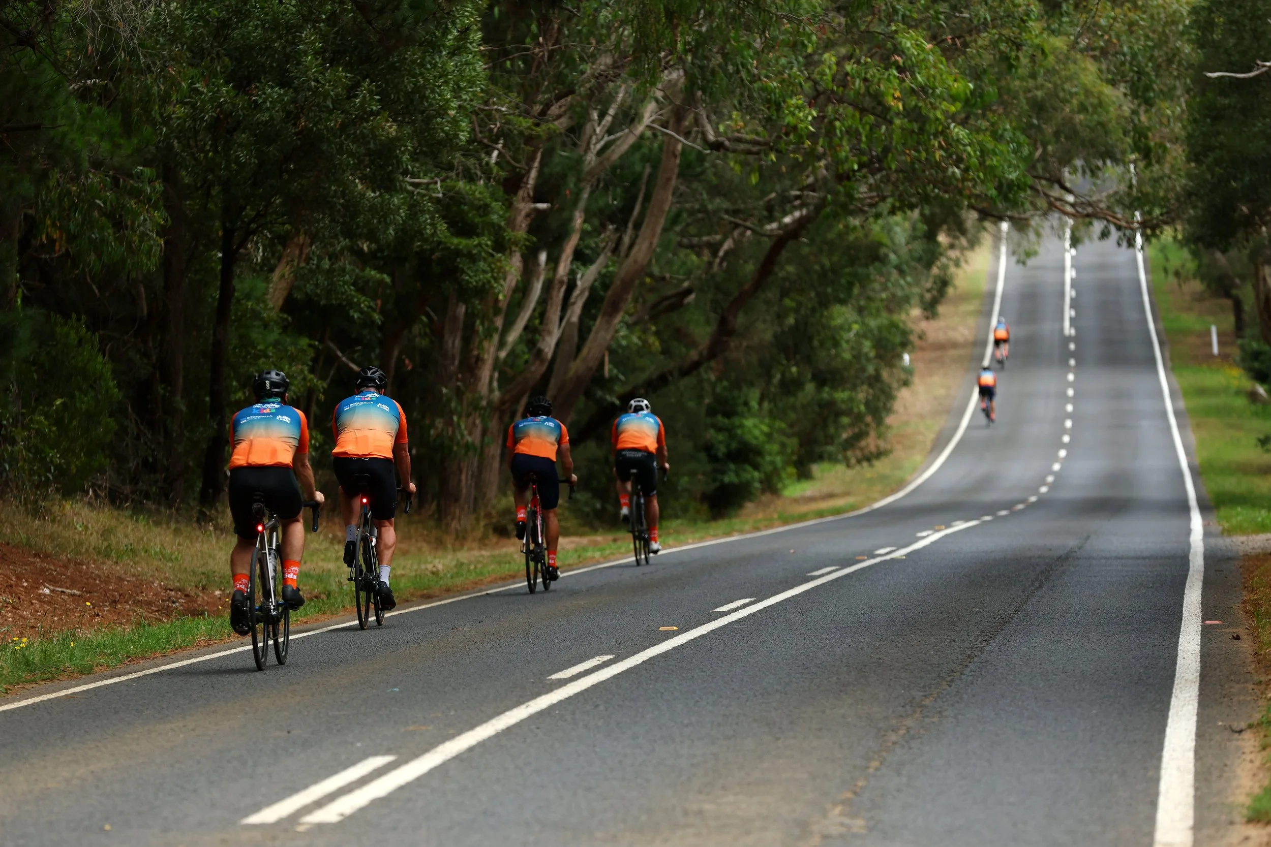 6. Dromana - Red Hill - Sorrento 024A1235209.jpg