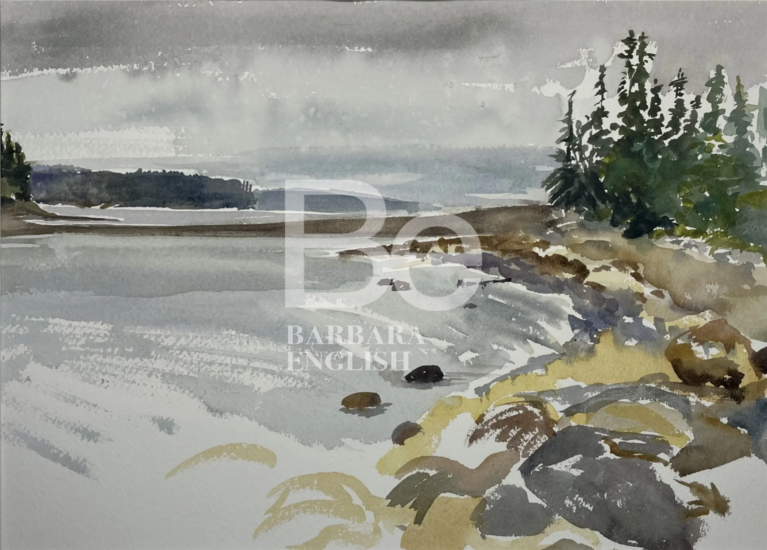 3)WATER_FIN_Screenshot 2024-10-04 at 3.35.43 PM.jpg