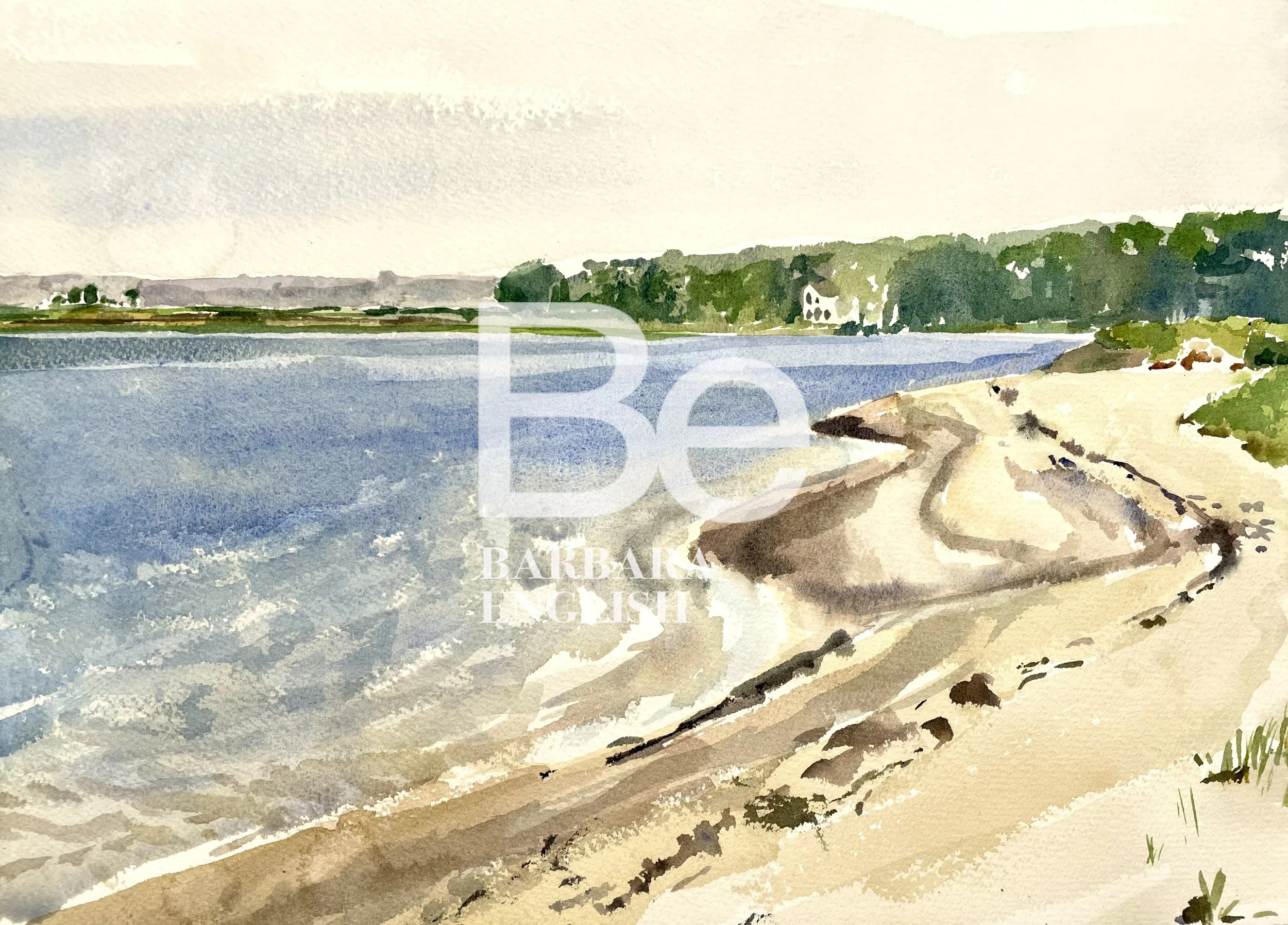 Water_fin_IMG_0584 copy 2.jpg