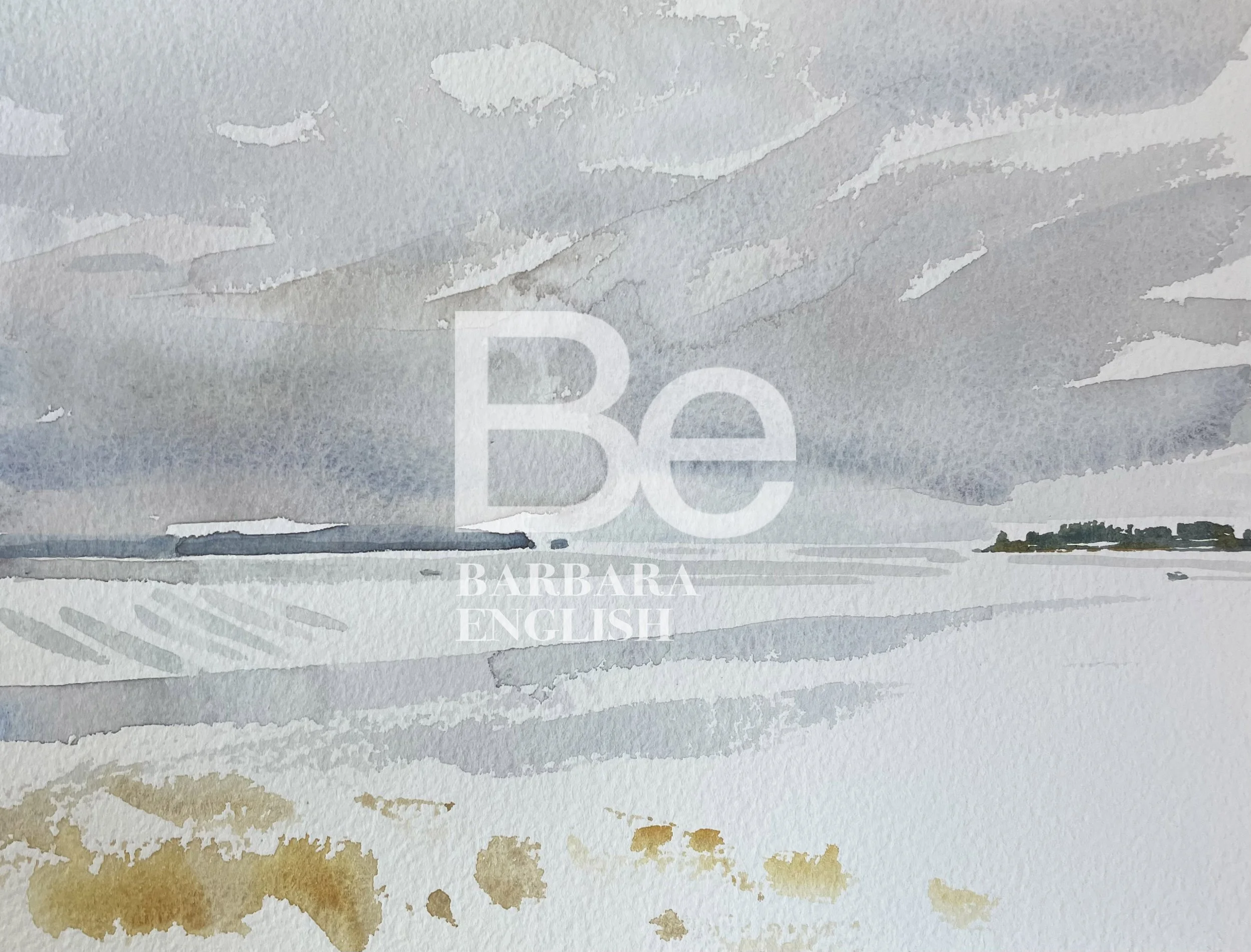 Water_fin_IMG_2624 2.jpg