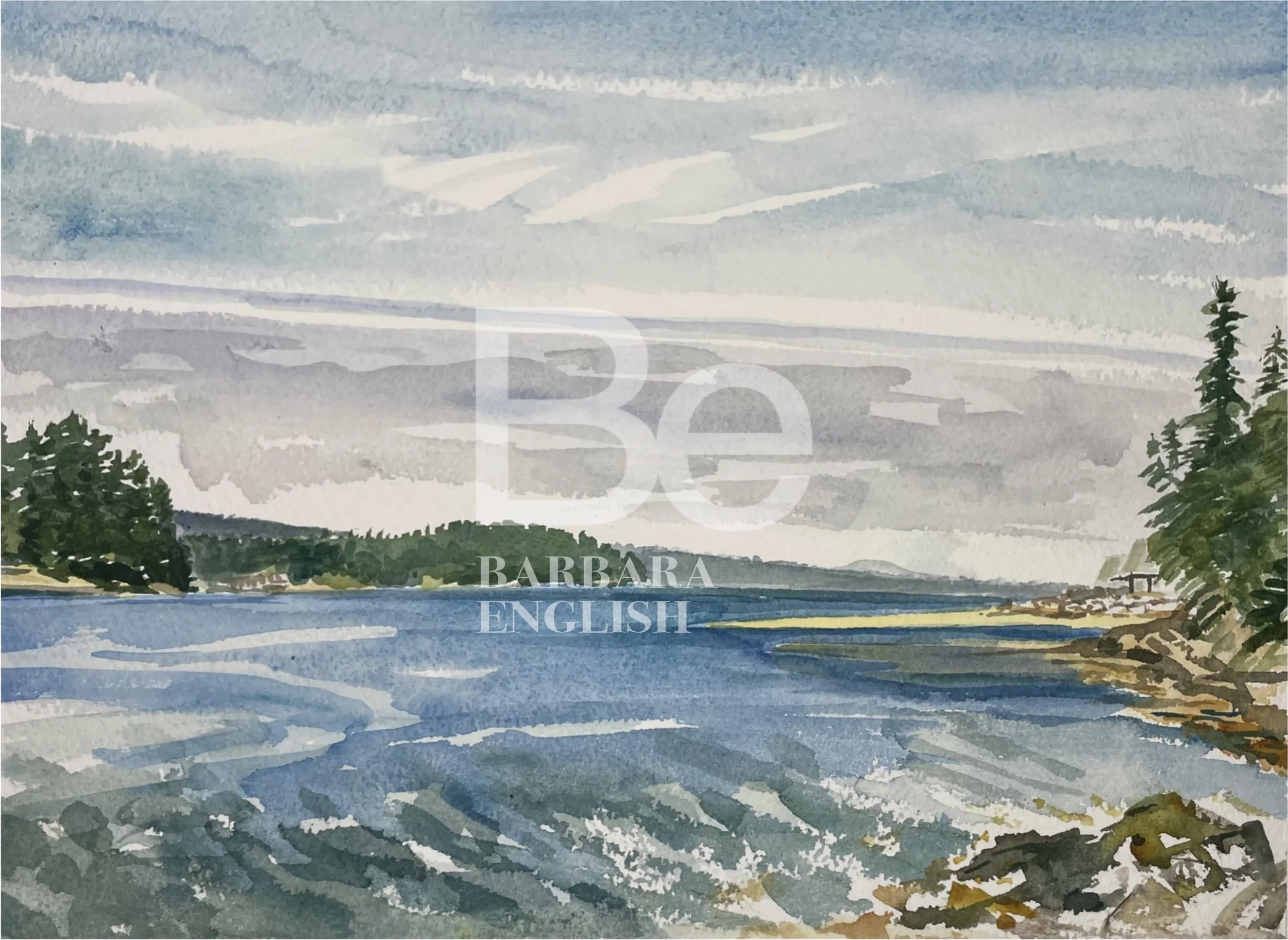 2)WATER_FINScreenshot 2024-10-04 at 3.36.06 PM.jpg