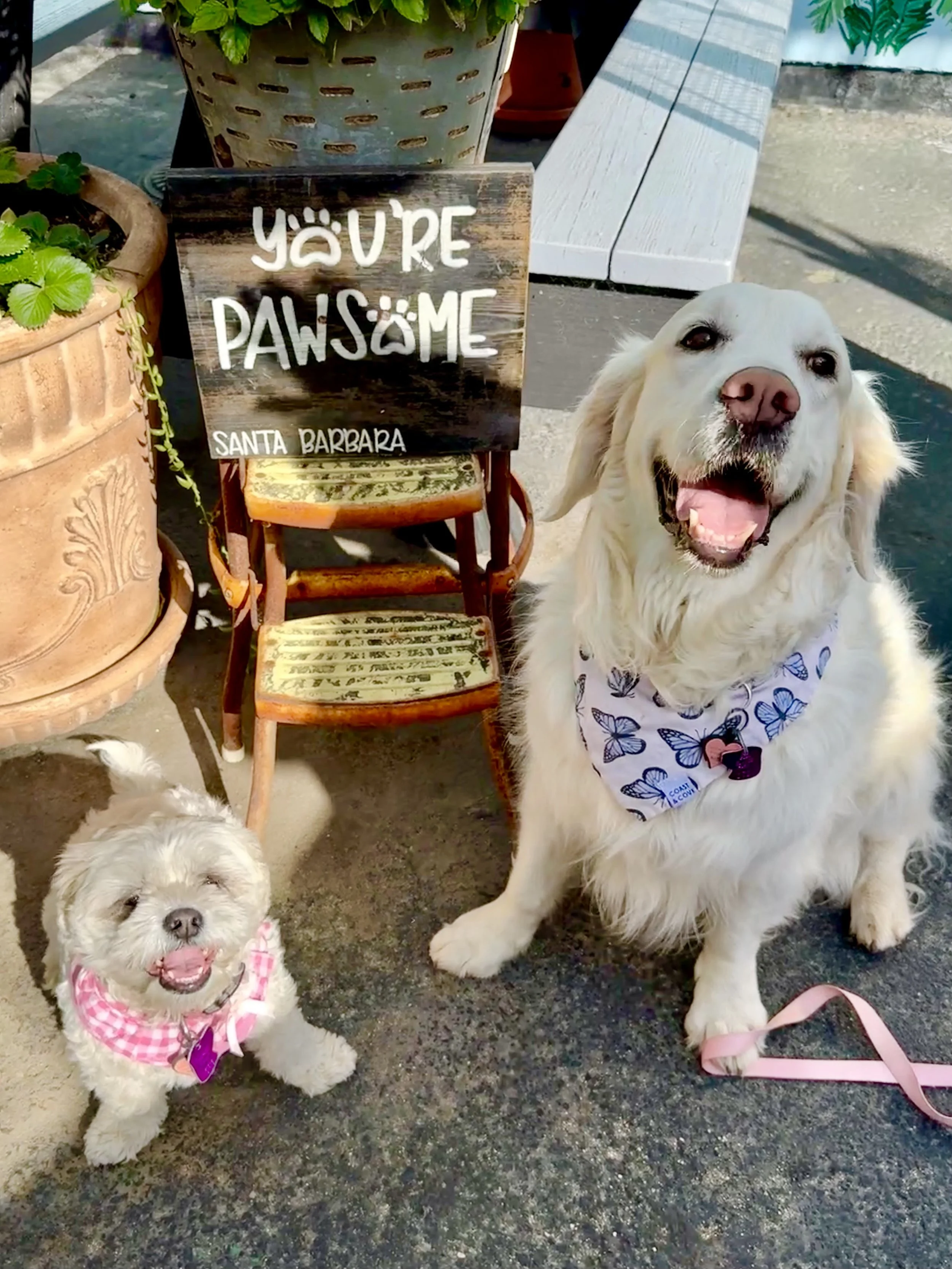 wine-therapy-the-cruisery