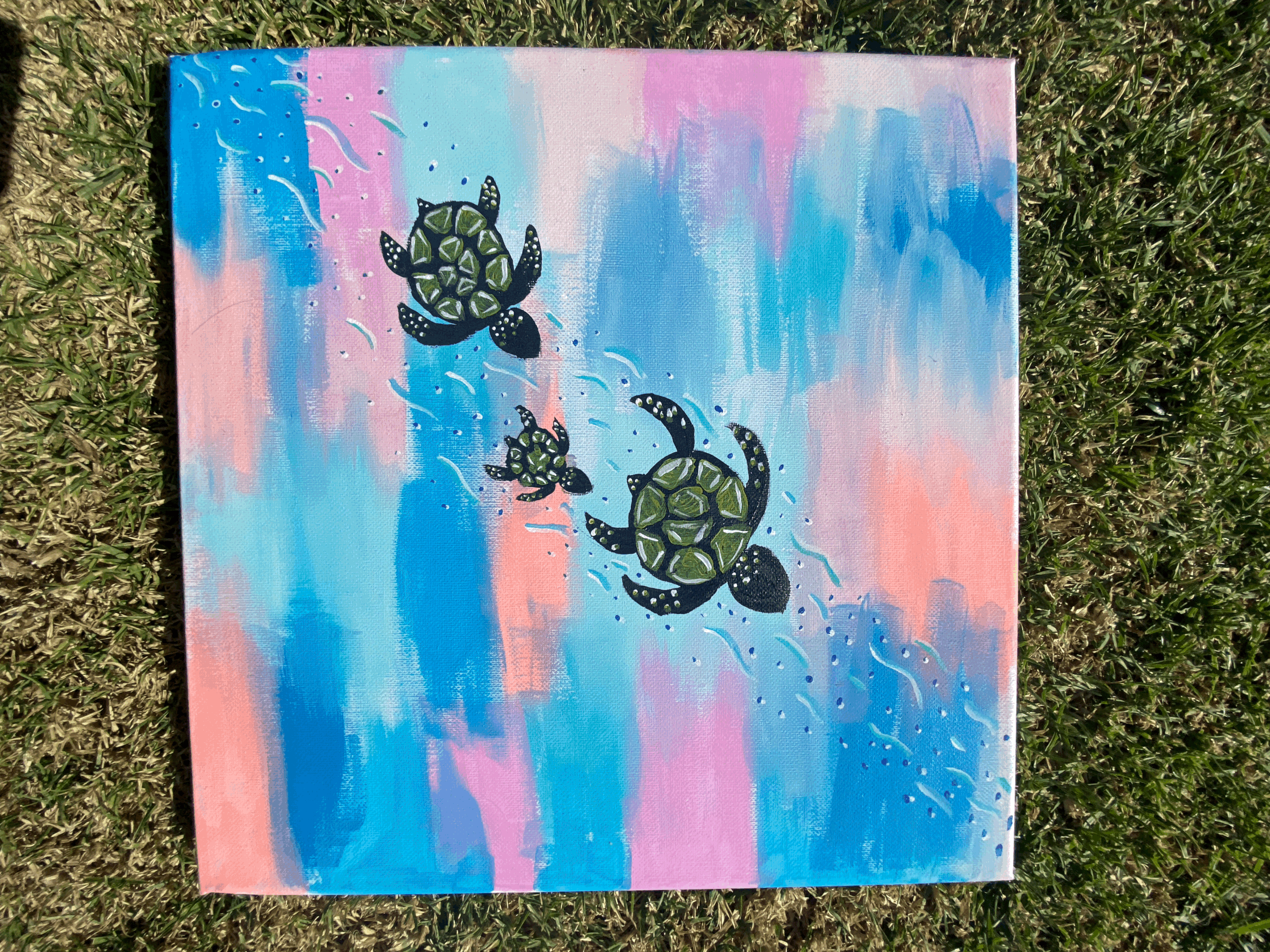 Turtle Serenity