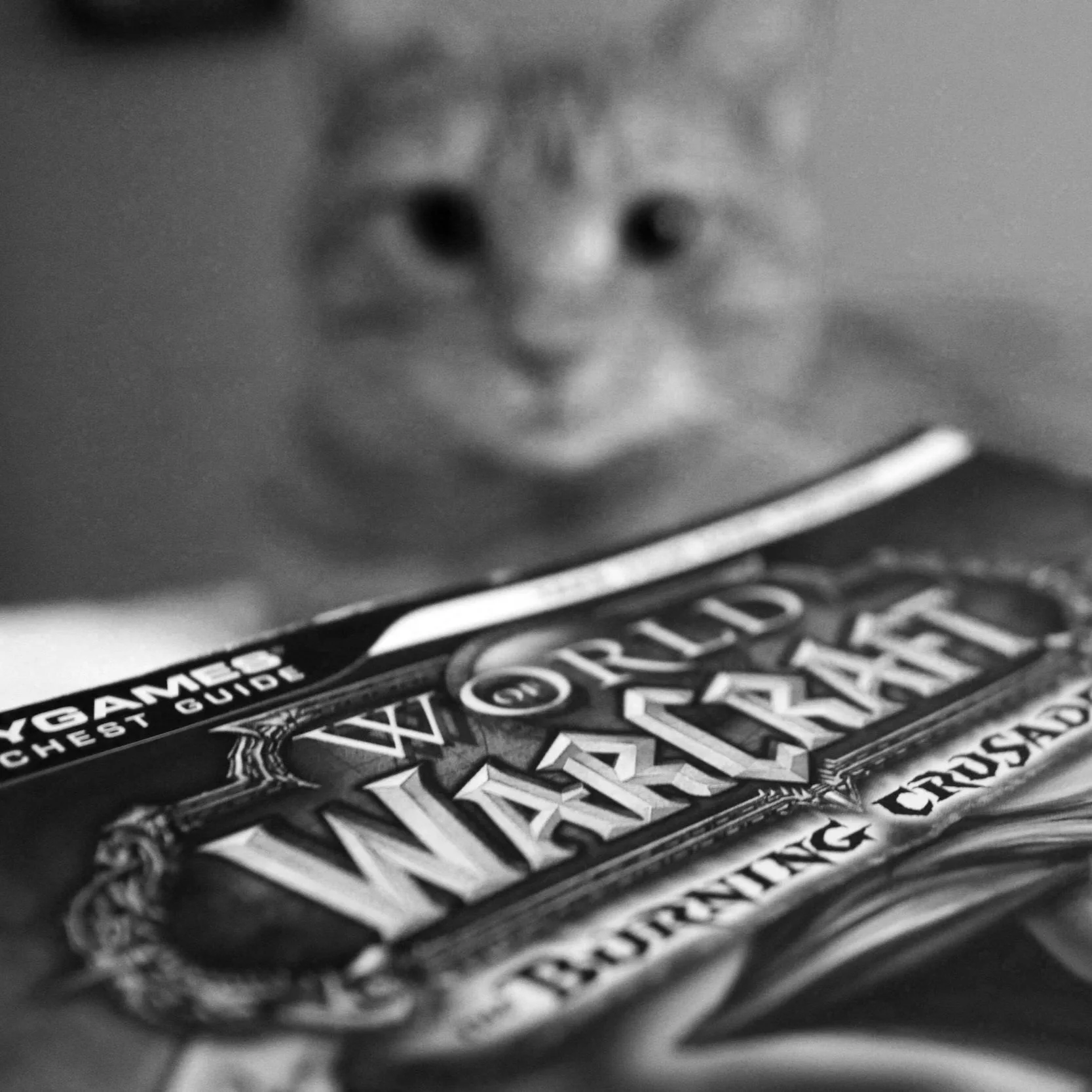#SUCCESS #GROWTH_MINDSET #GAMES World of Warcraft is not just a game. It is a virtual global community and a franchise that has been around for 20 years with tens of millions of committed players still involved. In this video Zenkai Goose explains wh