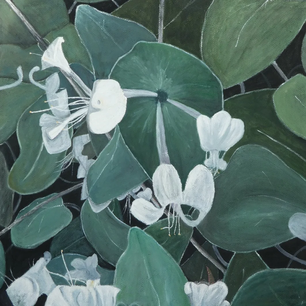 Sommarkaprifolen / Birgitta Hedlund