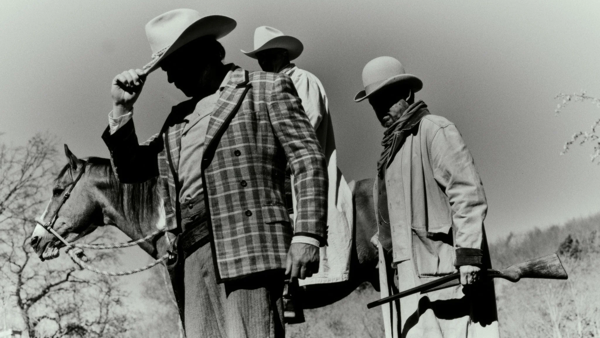 _DSF8459__Cowboy.jpg