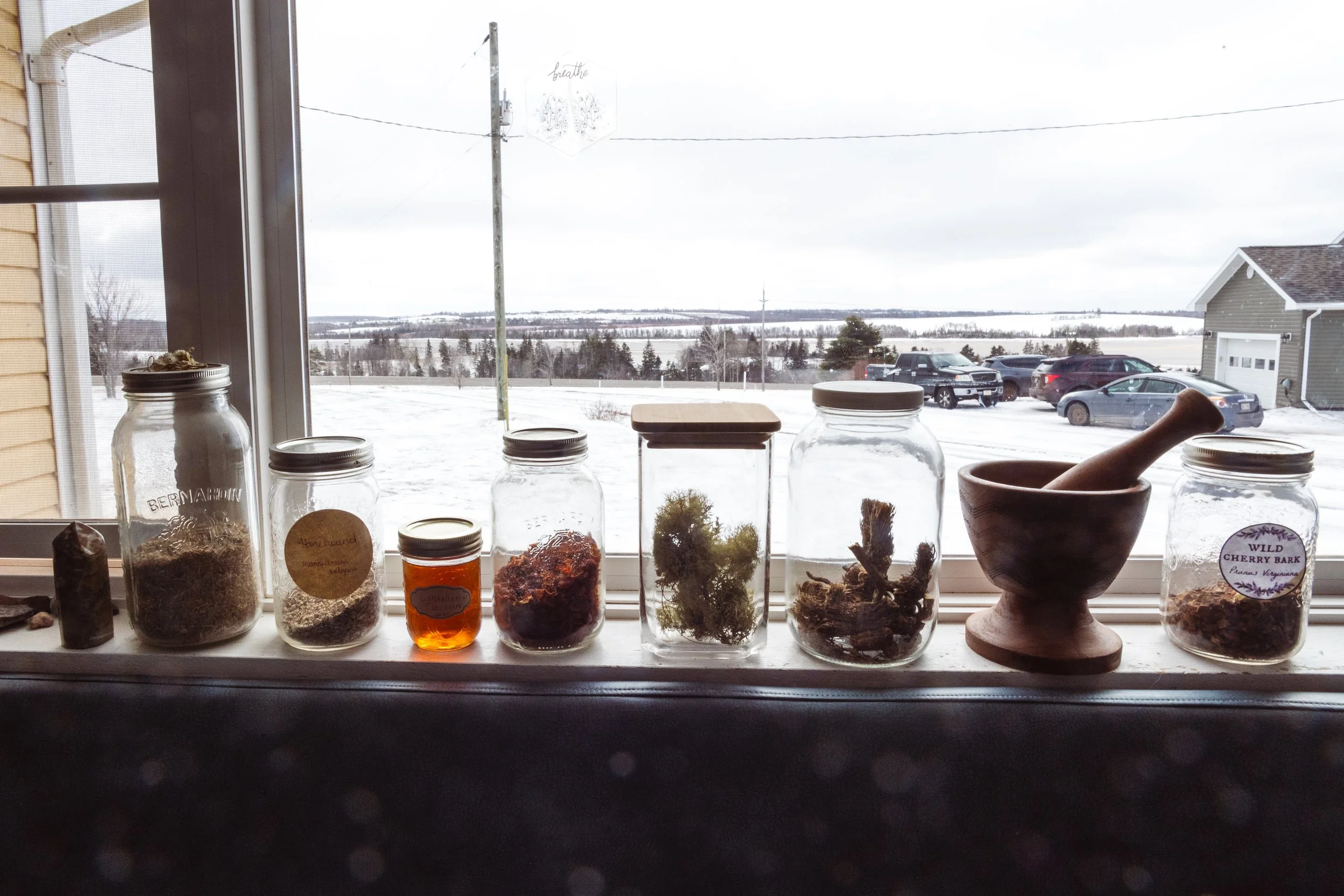 View through a window showing jars with herbs and plants, a mortar and pestle, and an outdoor scene with parked cars, a house, and snow-covered landscape.