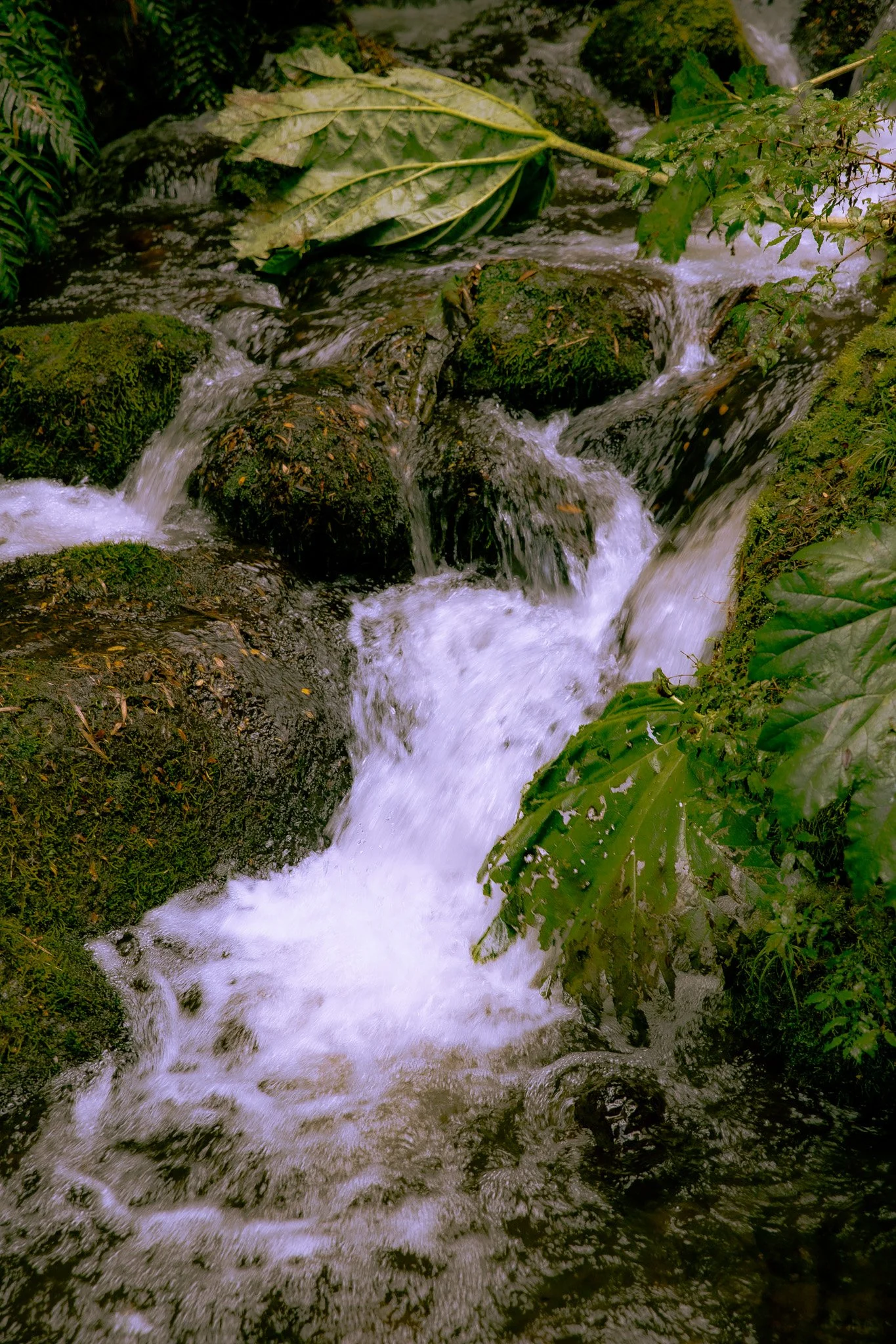 IMG_0448.jpg