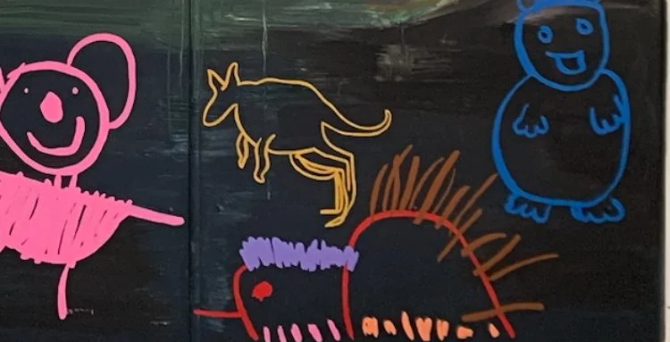 Australian animal drawing