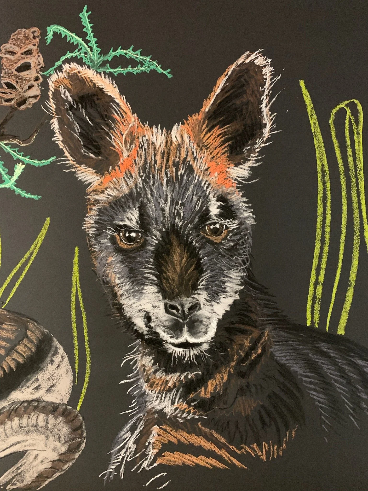 Baby Wallaby Raising Room