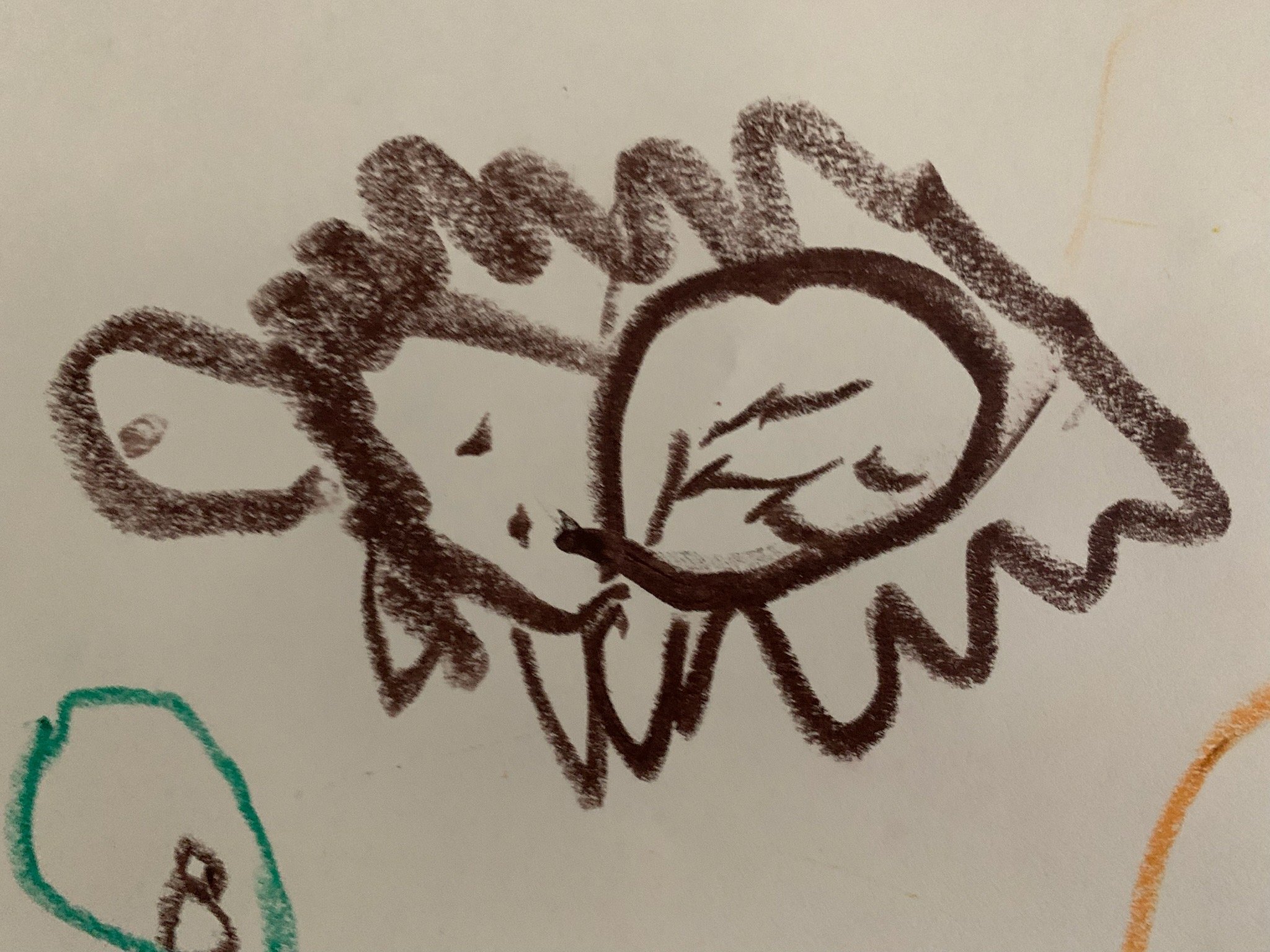 IMG_5618.jpeg