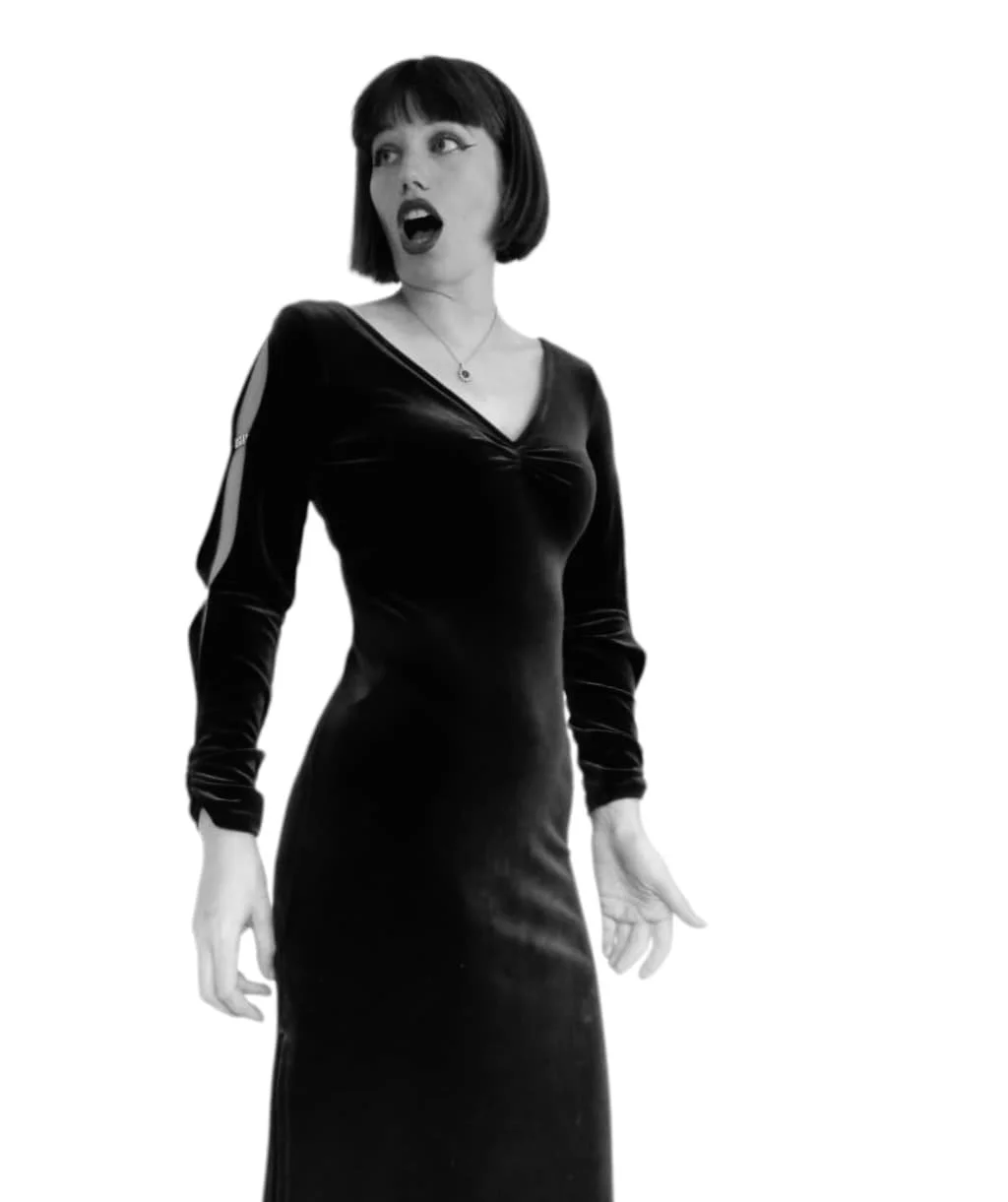 Valentine’s Opera, Wine and 5 Course Dinner