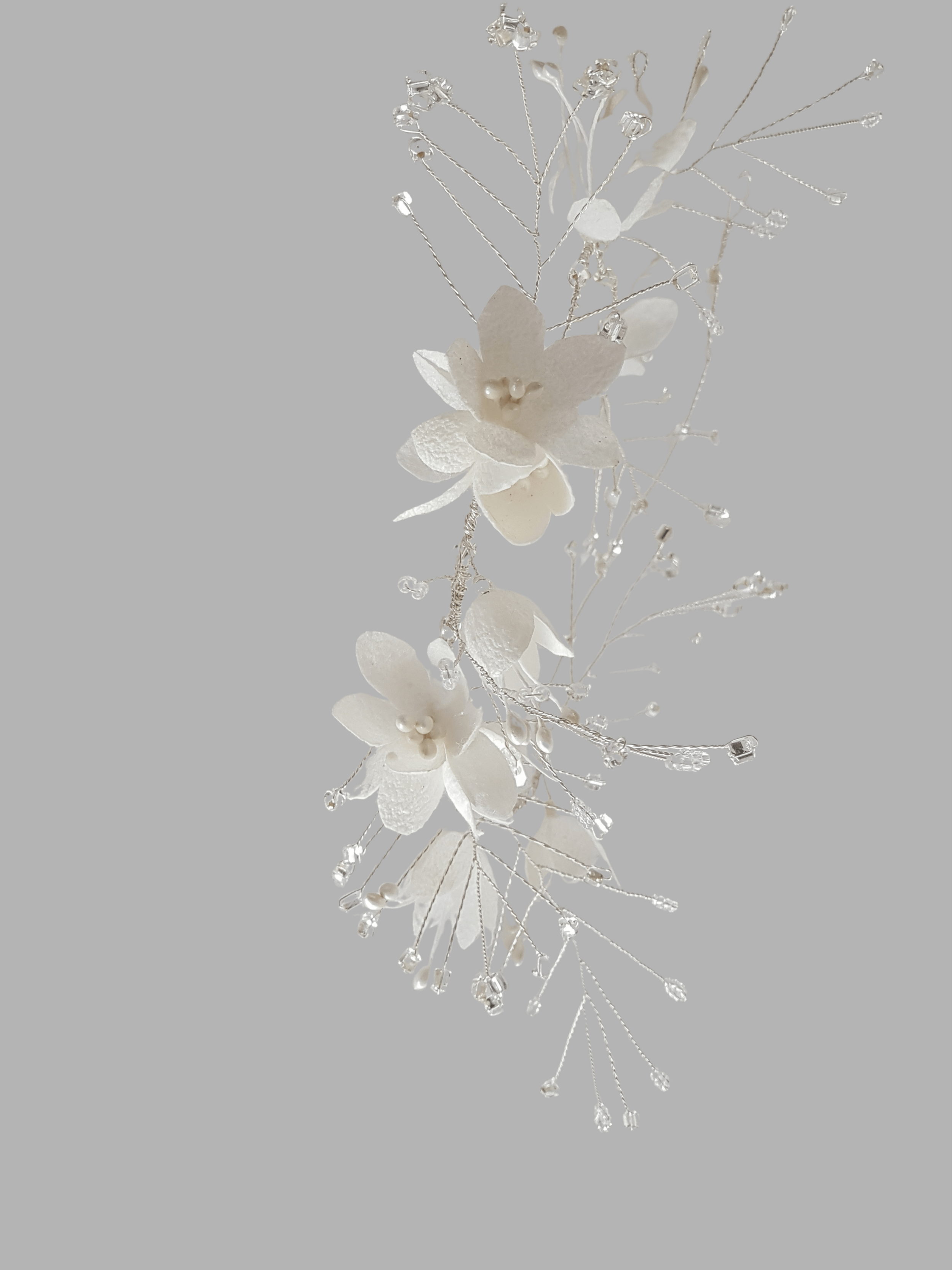 Untitled design (27).png