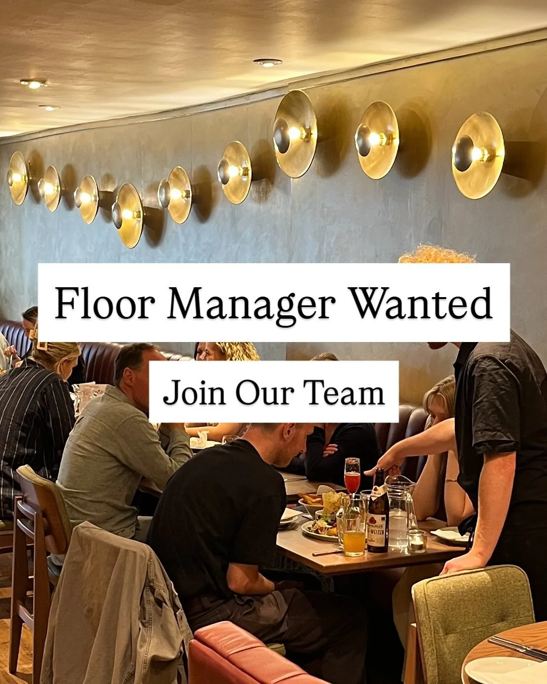 We’re hiring a Floor Manager at Terre à Terre, Brighton!
If you love great food, great service, and leading a team with flair, this could be your next move. Competitive salary, tips, flexible hours, and a chance to grow with one of the