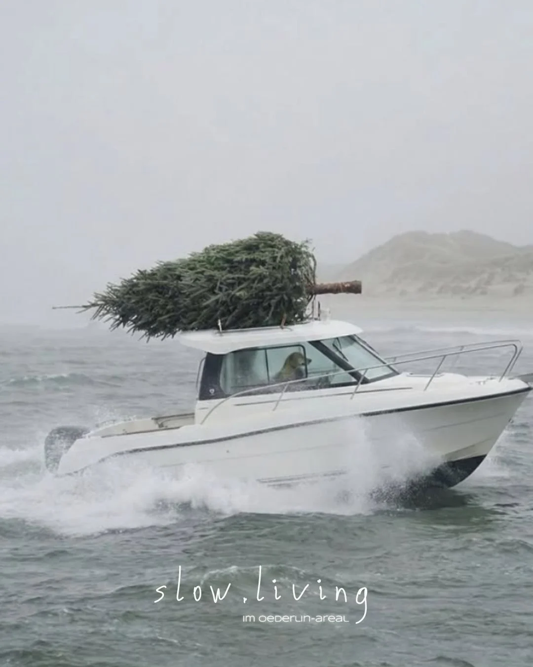 Frohe Weihnachten!

Manchmal braucht es nicht viel:
Einen Tannenbaum an Bord und die Gewissheit, auf dem richtigen Kurs zu sein.

COME HOME. SLOW DOWN.

Von Herzen ruhige Festtage, in denen du bei dir ankommst &ndash; ganz gleich, wo du gerade bist.
