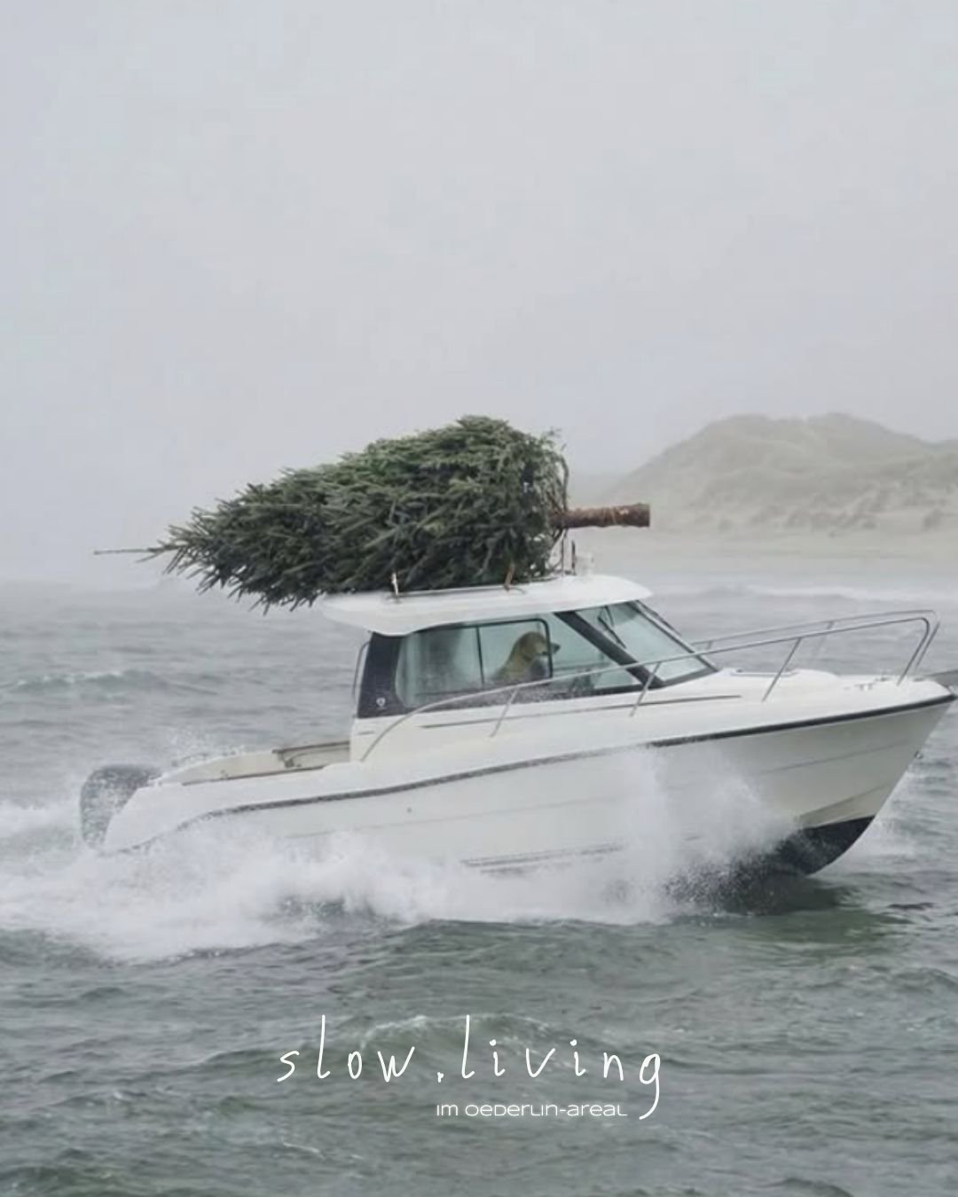 Frohe Weihnachten!

Manchmal braucht es nicht viel:
Einen Tannenbaum an Bord und die Gewissheit, auf dem richtigen Kurs zu sein.

COME HOME. SLOW DOWN.

Von Herzen ruhige Festtage, in denen du bei dir ankommst &ndash; ganz gleich, wo du gerade bist.
