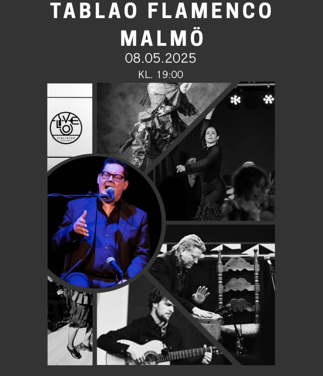 Flamenco Night