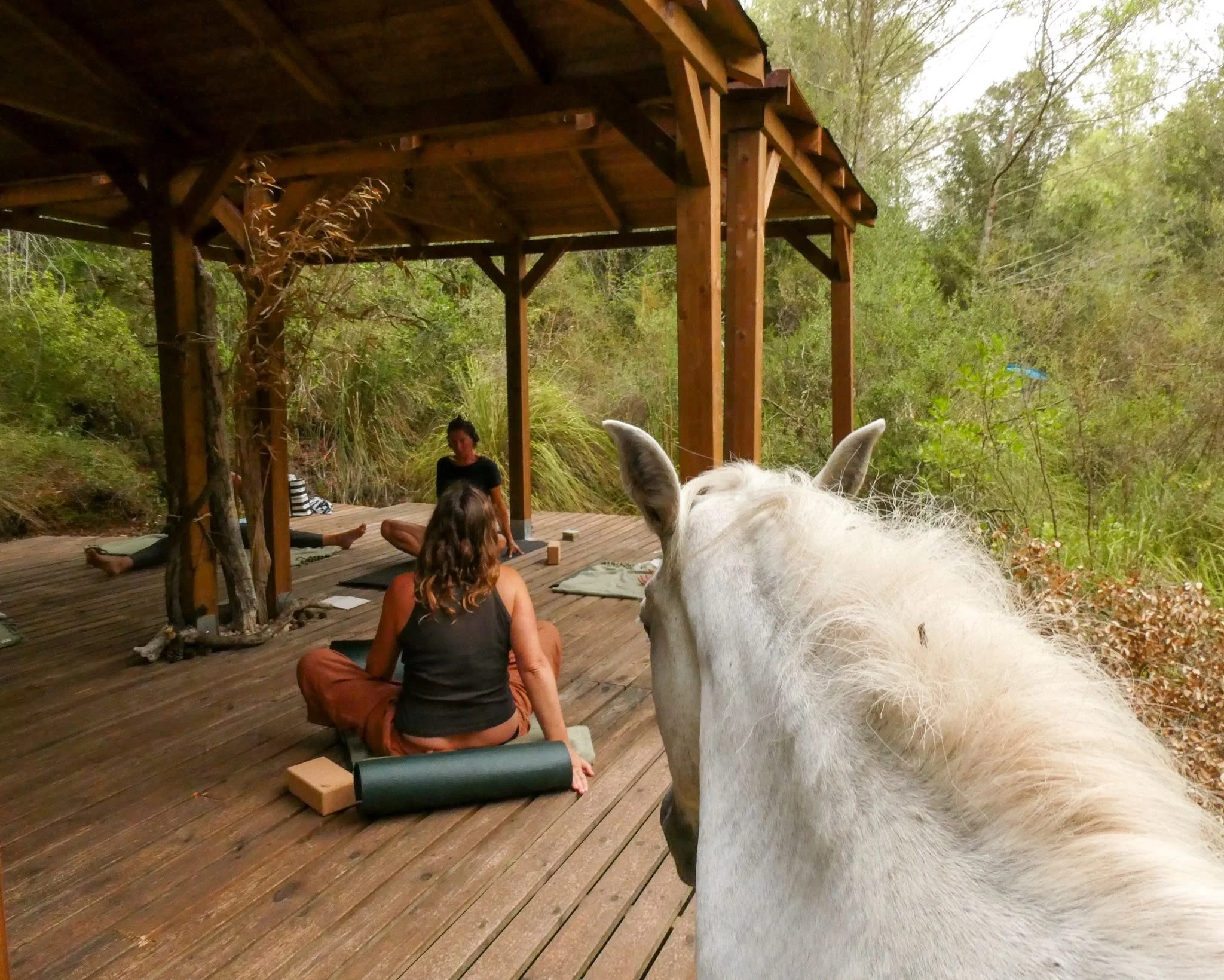 Weekly yoga class on a wooden deck surrounded by trees near Artà, Mallorca