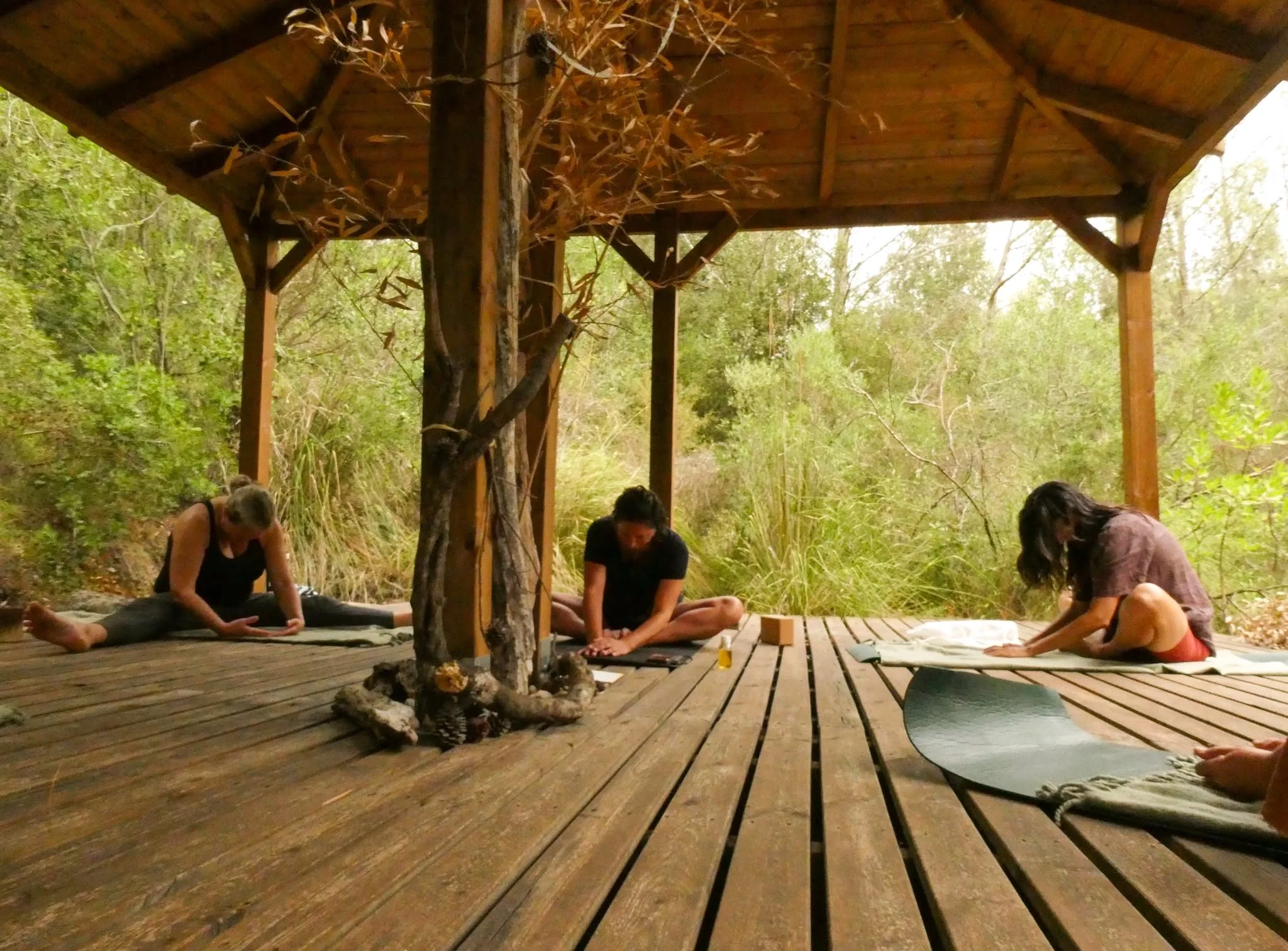 Small group yoga class on a wooden deck surrounded by forest near Artà, Mallorca