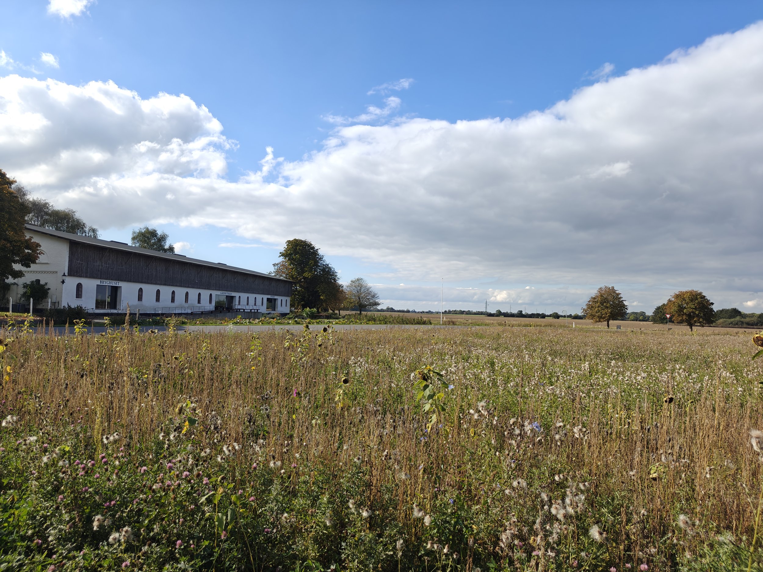 Bliss Cph - En stor mark med vilde blomster under en klar blå himmel med skyer, et hvidt bondehus og eventsted med store vinduer med udsigt over spredte træer og åbent landskab.