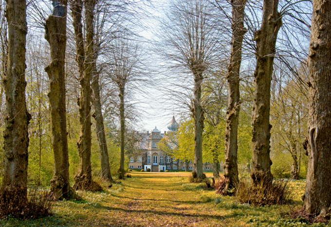 Bliss Cph - Skovsti med bartræer, der fører til en stor, historisk bygning, Søllestedgård Gods i baggrunden, omgivet af grønne træer.