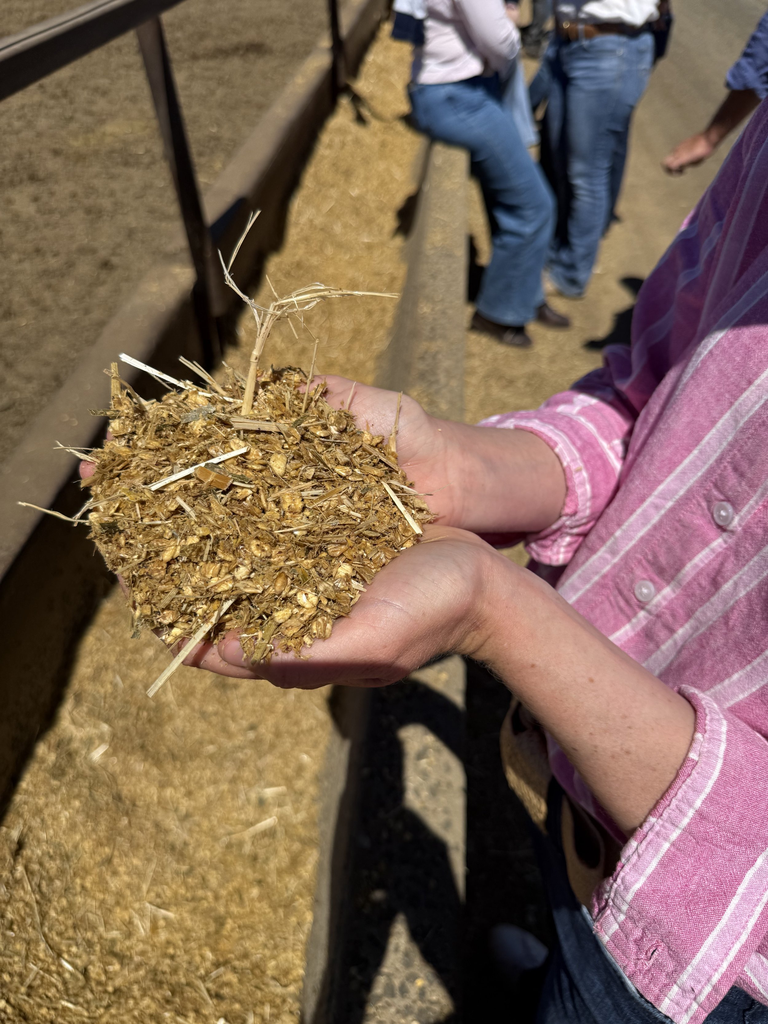 Kerwee Feedlot feed.jpeg