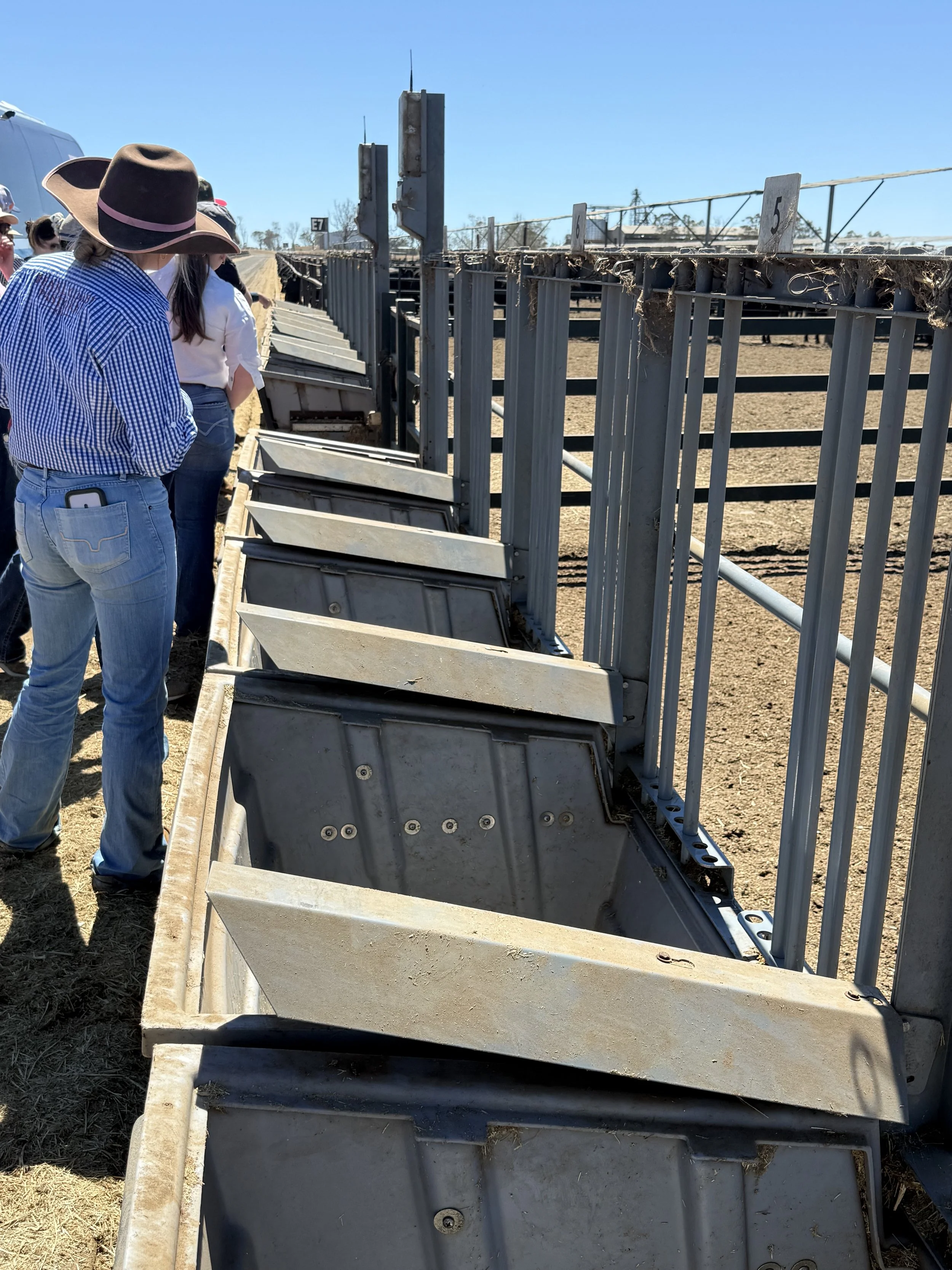 Kerwee Feedlot.jpeg