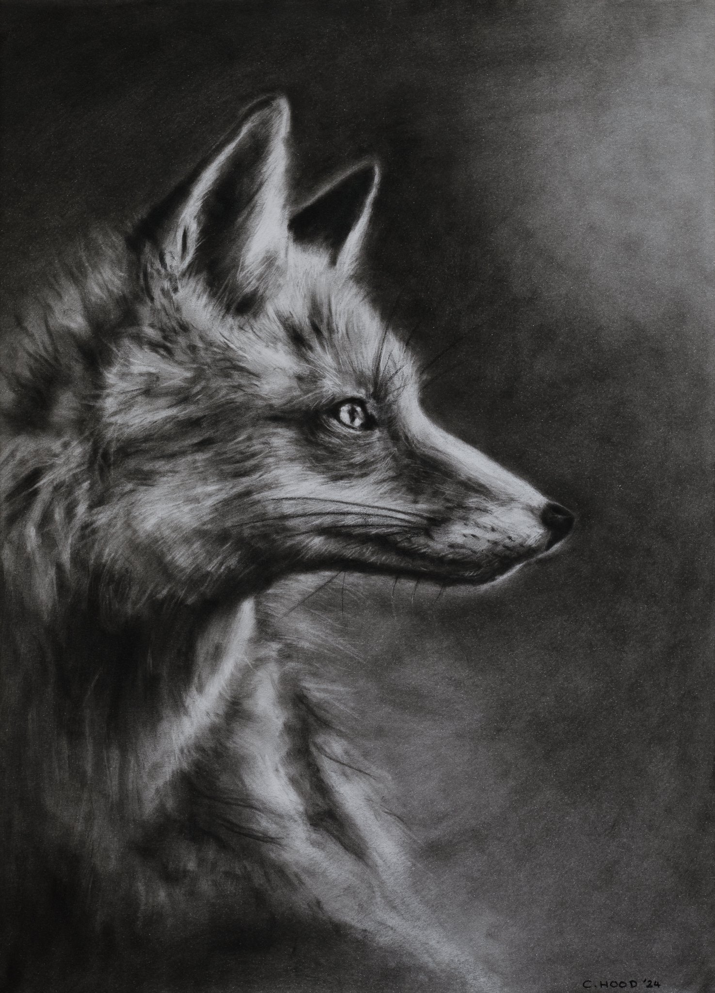 Red Fox Final-1-4.jpg
