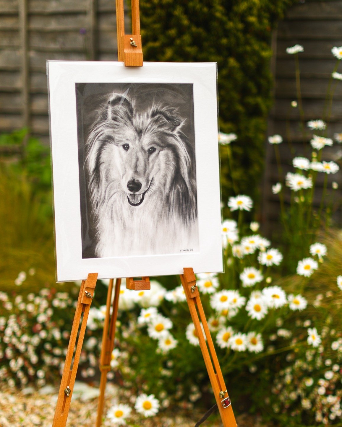 All ready for it's new home 😊. 

#roughcollie #dogportrait #petportrait #charcoaldrawing #artworkoftheday #gloucestershire #cotswolds #commissionart #commissionartist