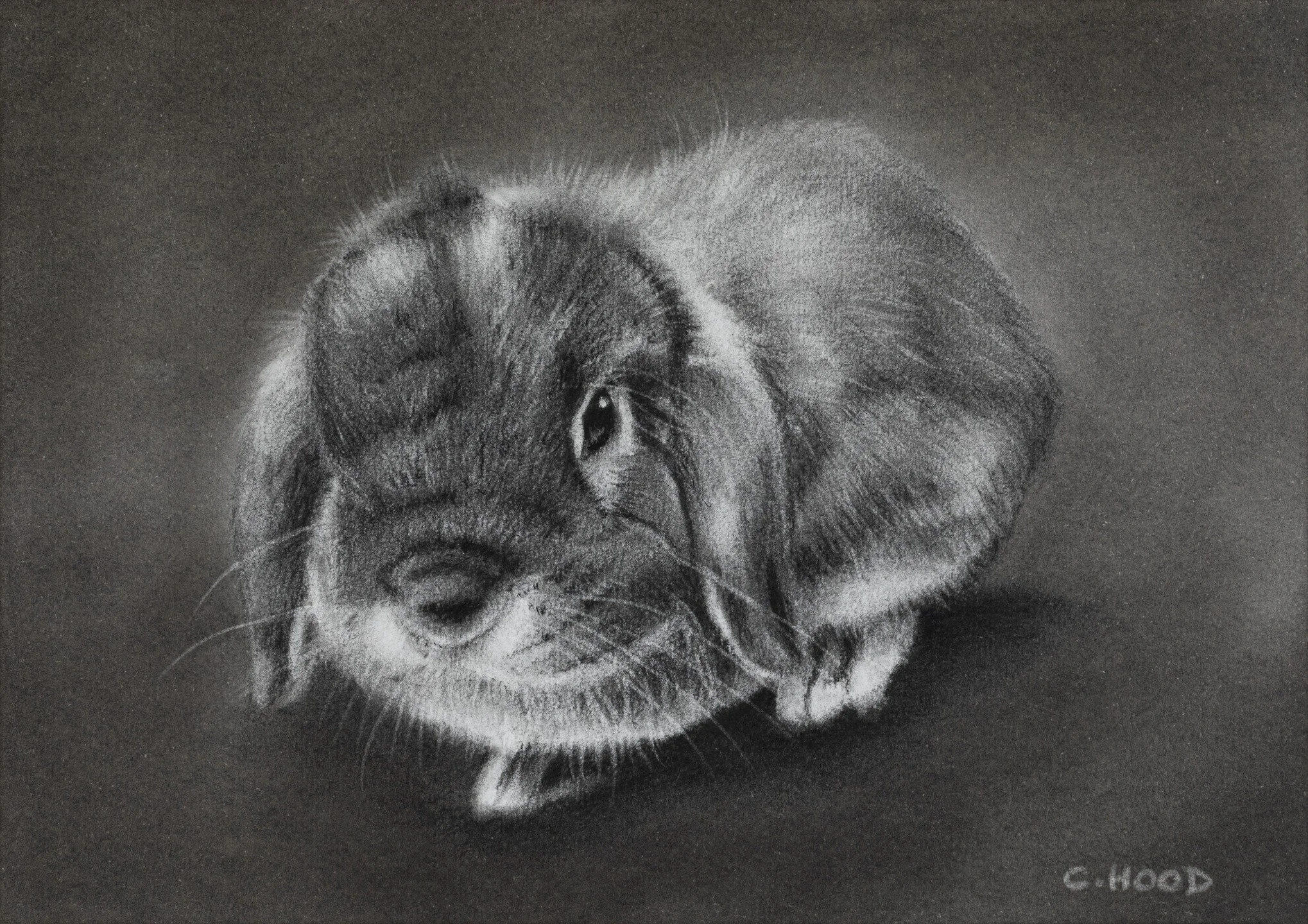 This memorial drawing is of a very special bunny called Larna ❤️. Not least because she's also my first bunny commission 😊.

Drawn in willow and compressed charcoal on A5 smooth heavyweight paper and finished inside a white archival mount and protec