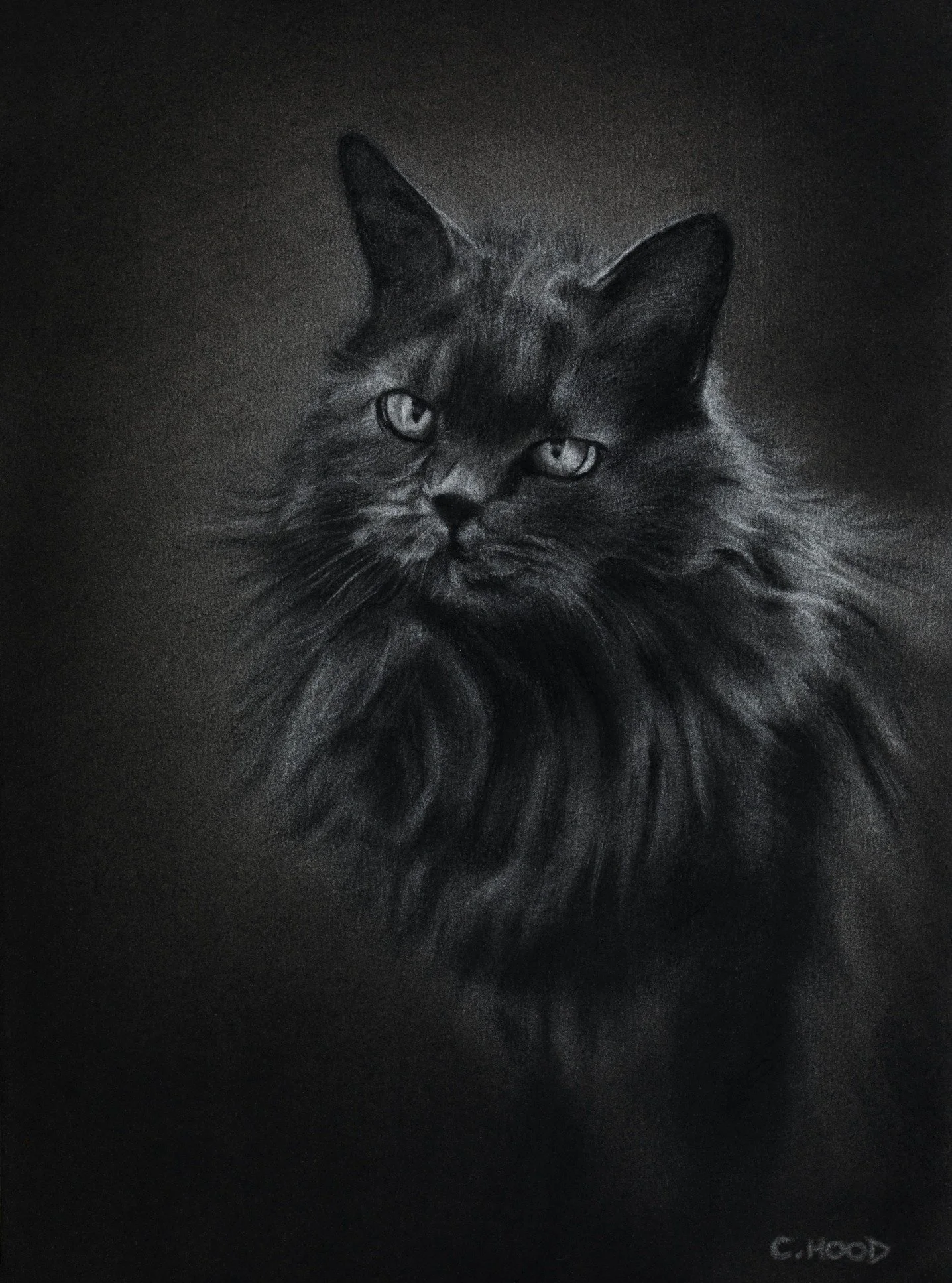 Here is the second half of two birthday portrait commissions, one for each partner who were born on the same day! 

This memorial piece is of a beautiful dark and fluffy kitty called Gribouille. 

Drawn in willow and compressed charcoal on A4 size, s