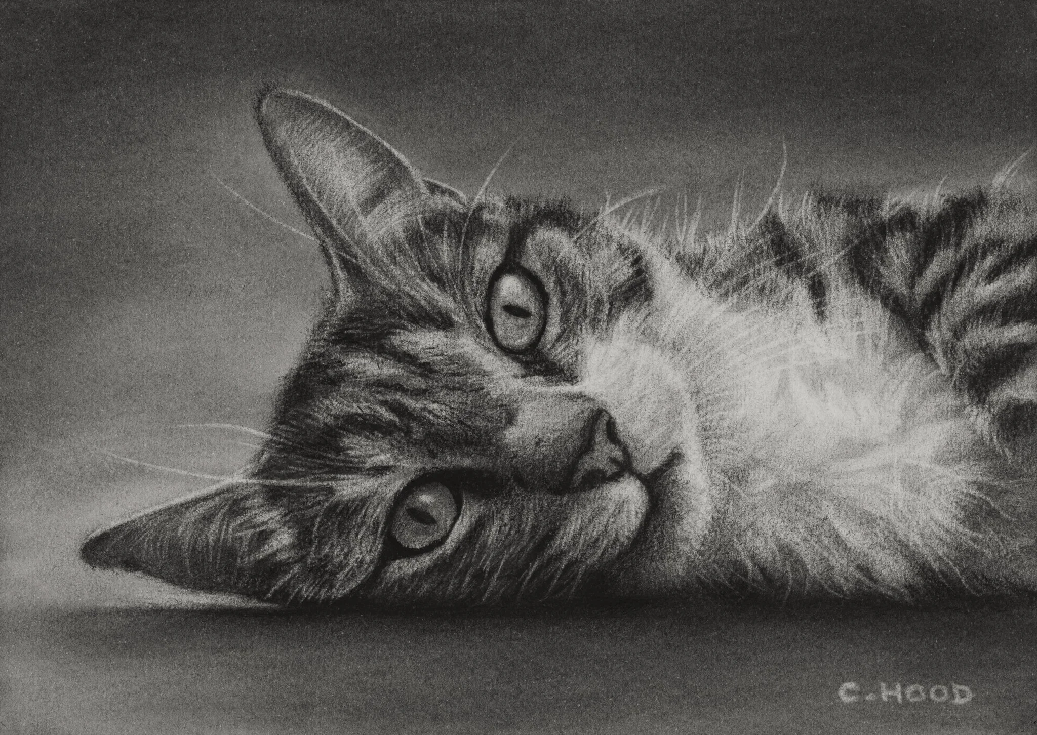 Spencer, Commission, 2025, A5, Charcoal on Paper