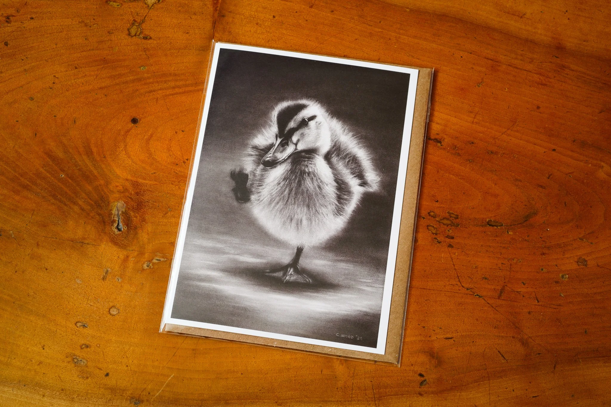 Duckling | Fine Art Greetings Card - Single
