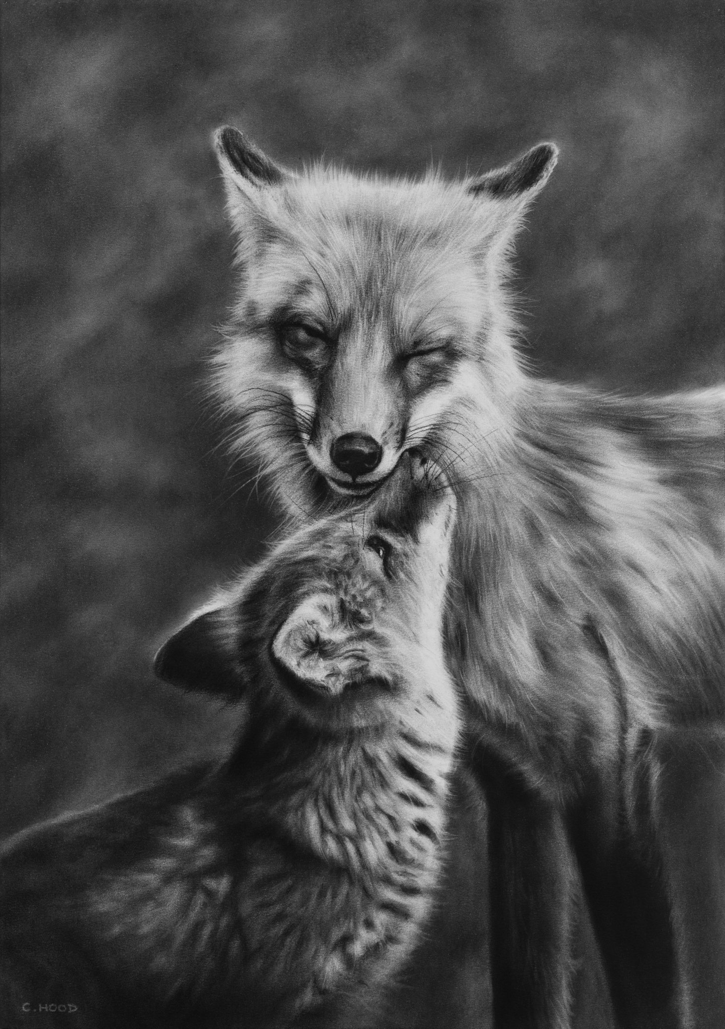 Devotion | Open Edition Print