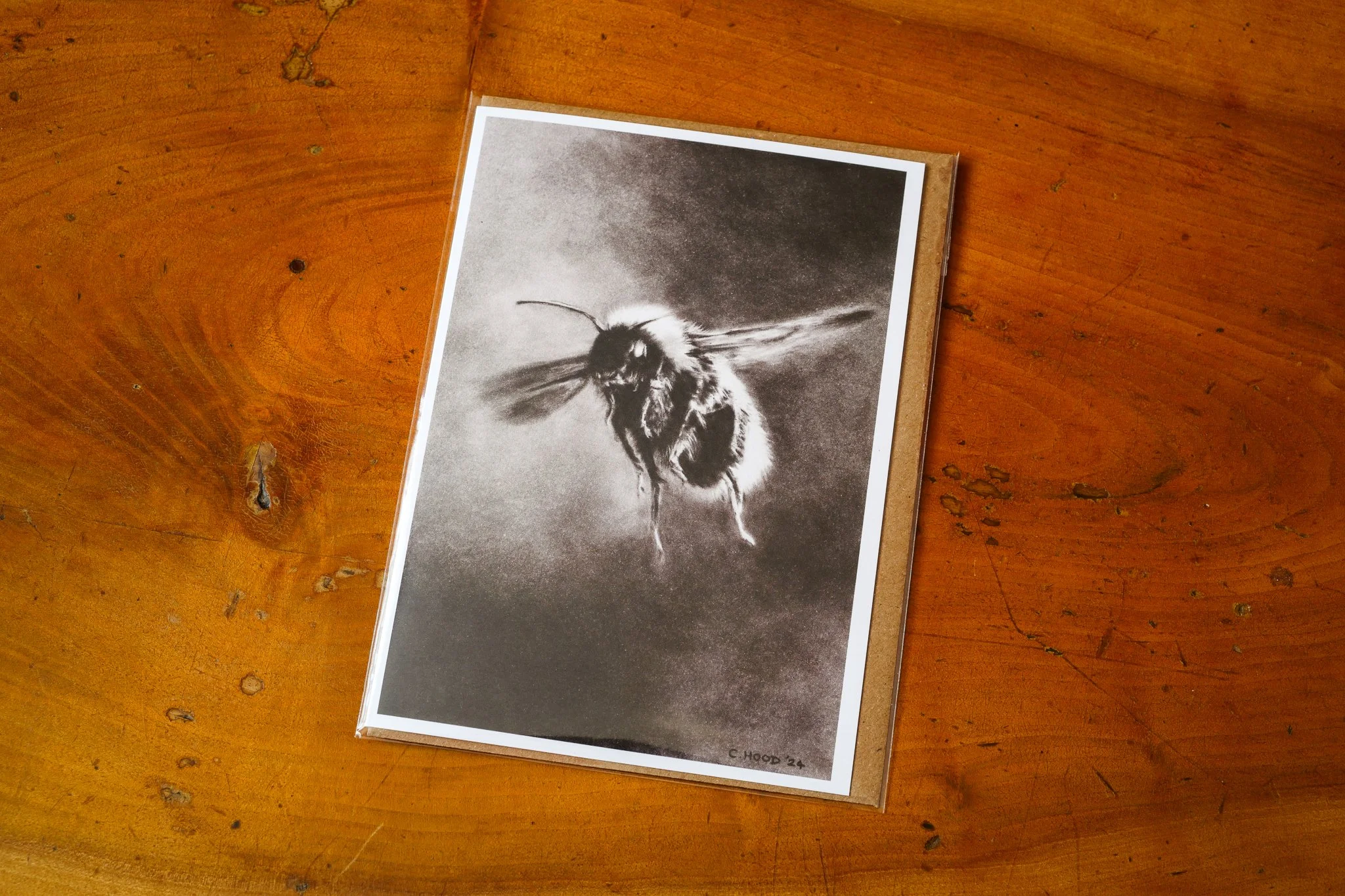 Bumble Bee | Fine Art Greetings Card - Single
